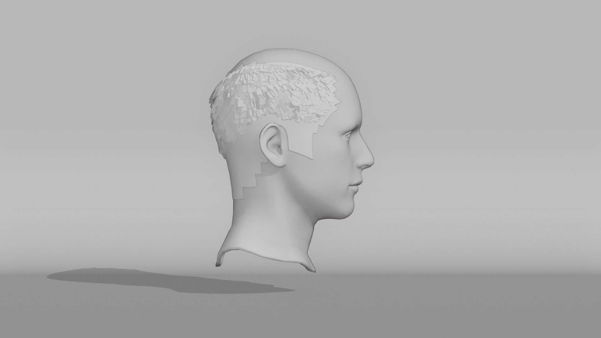 Realistic Male Hair 8 Low-poly 3D model_8