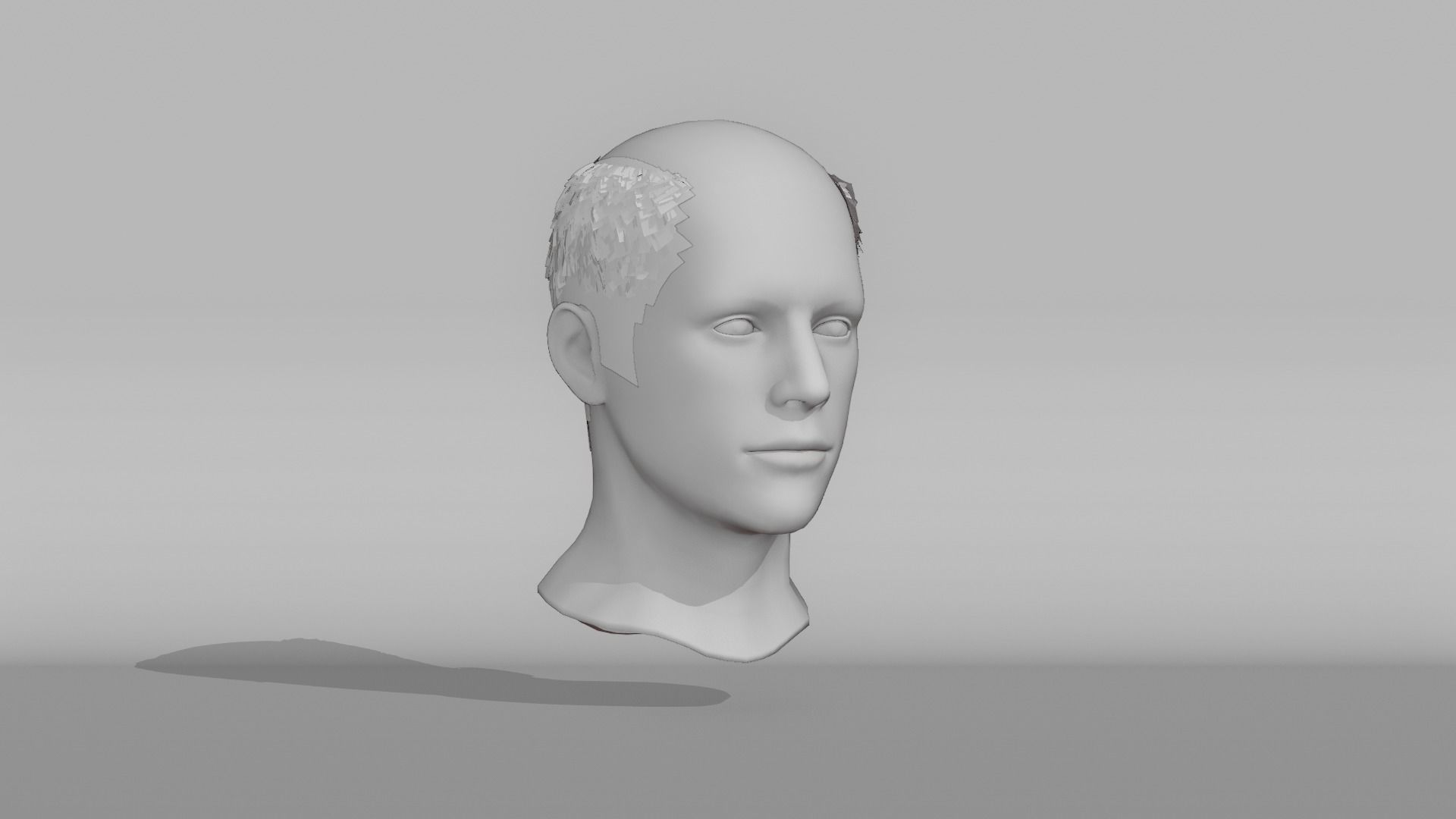 Realistic Male Hair 8 Low-poly 3D model_6