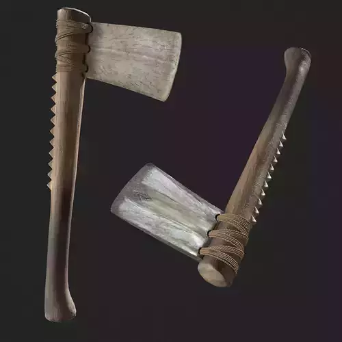 Ancient Bone Ax