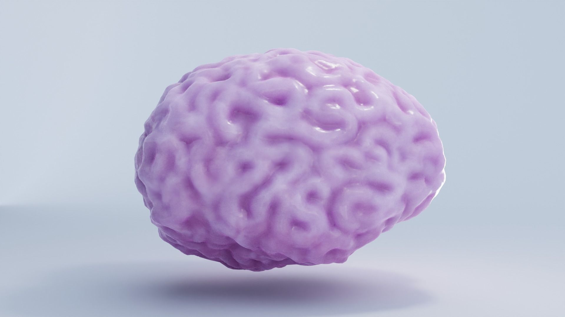 Brain Low-poly 3D model_5