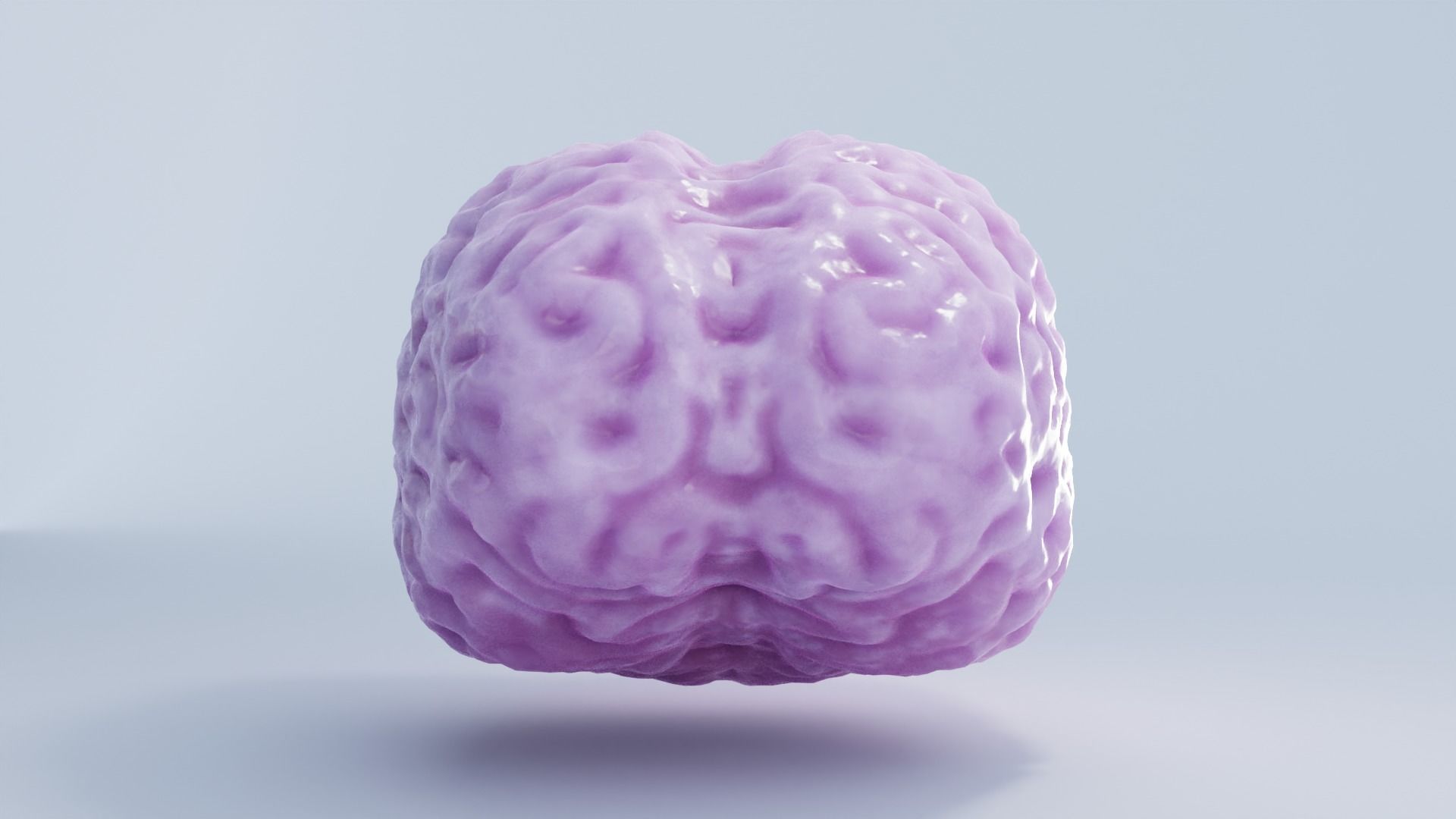 Brain Low-poly 3D model_4