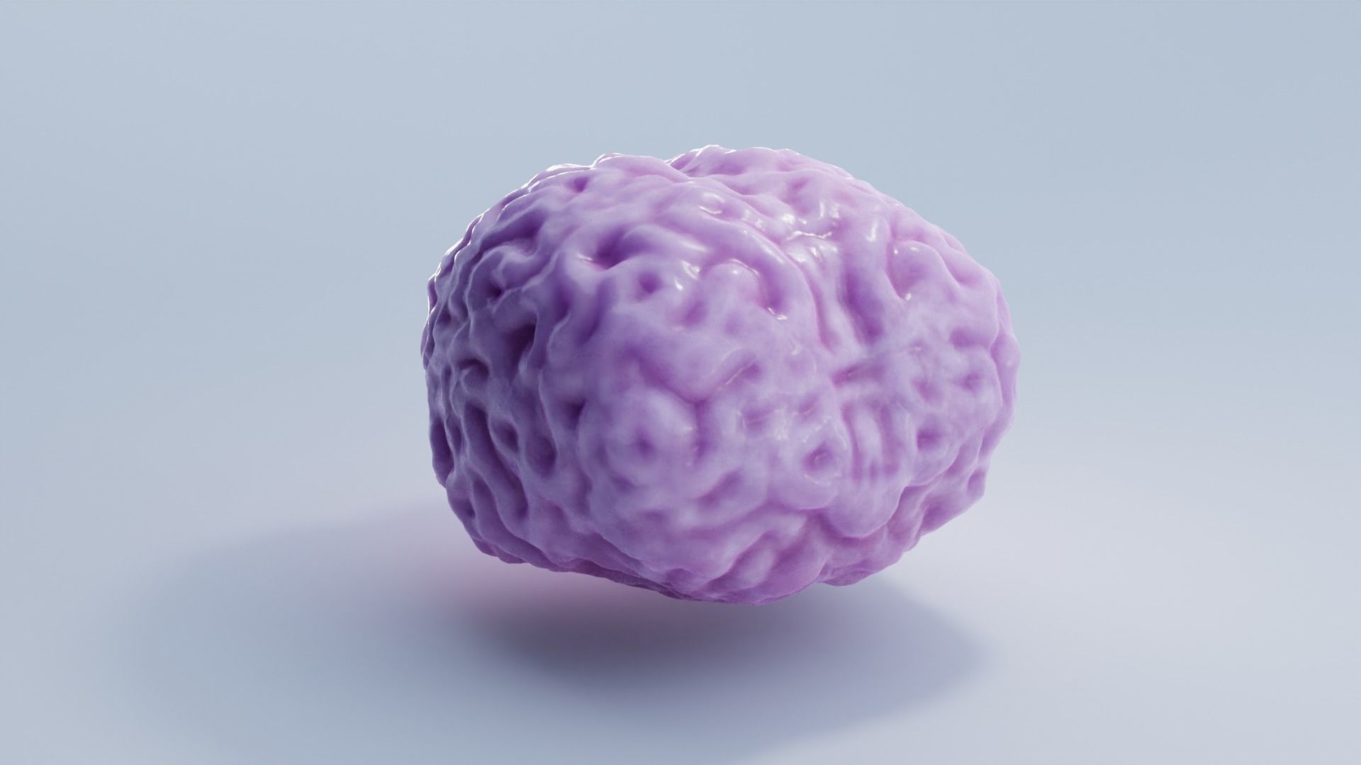 Brain Low-poly 3D model_3