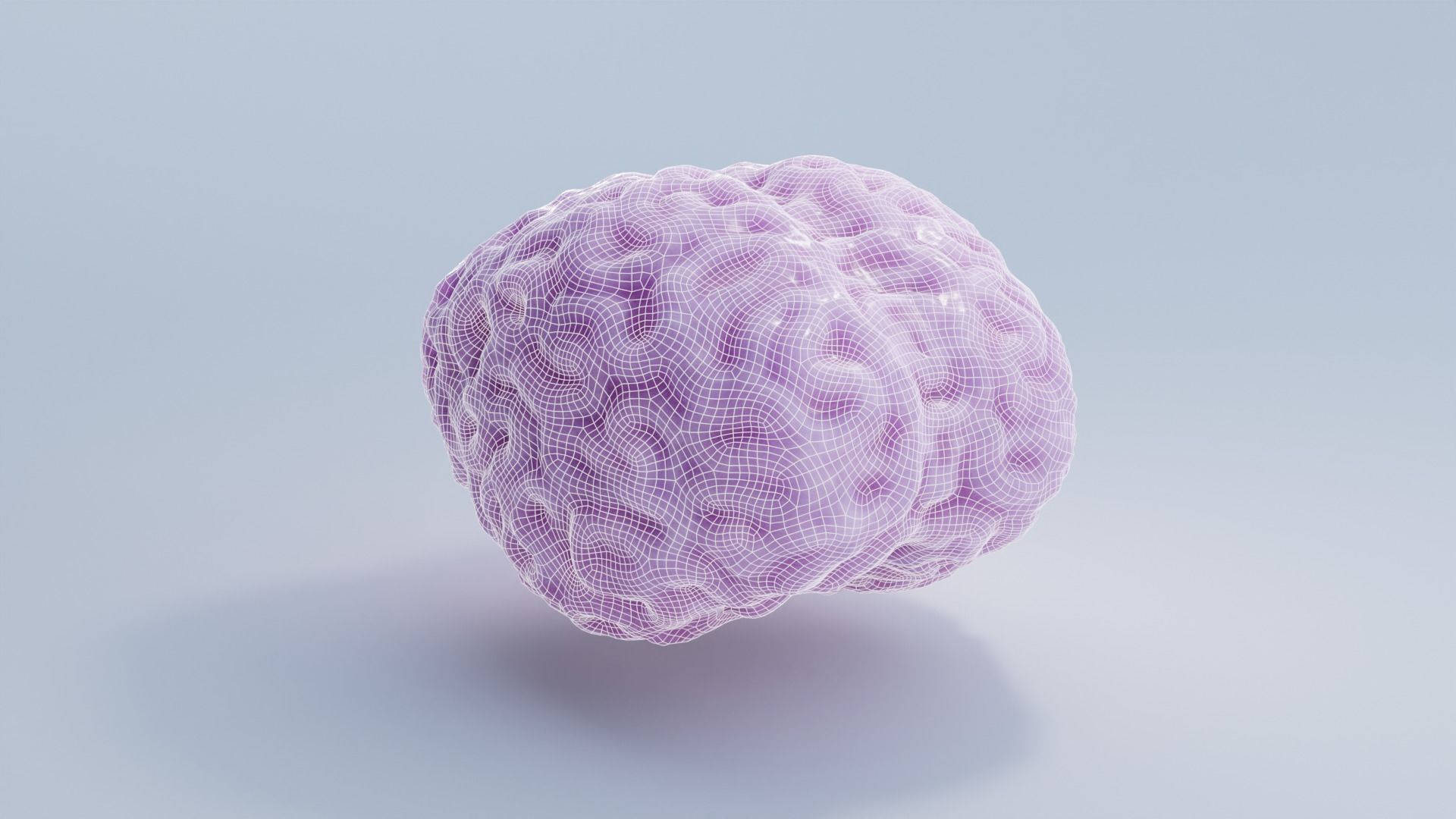 Brain Low-poly 3D model_1