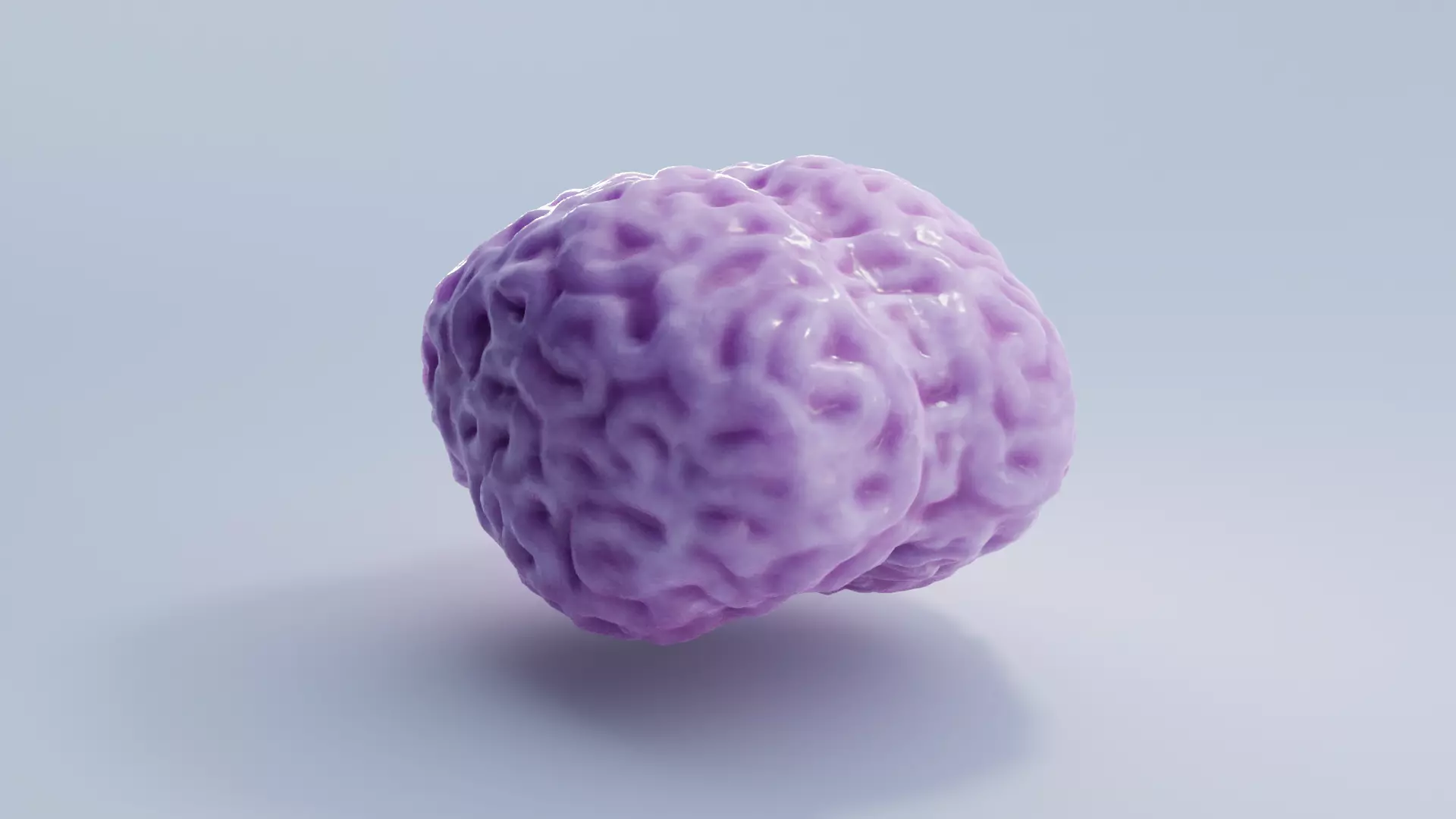 Brain Low-poly 3D model_0