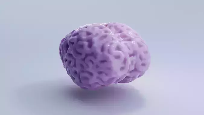 Brain Low-poly 3D model