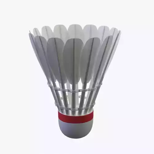 Shuttlecock Model 3D model
