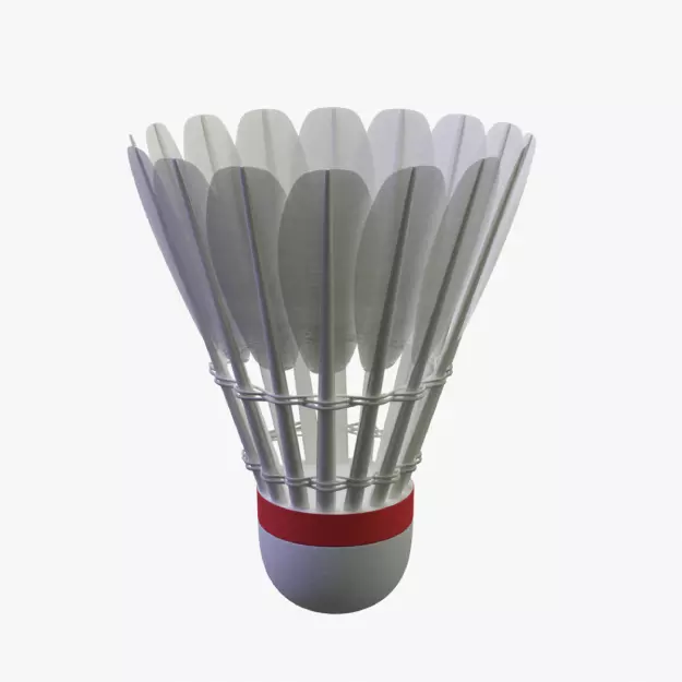Shuttlecock Model 3D model_0