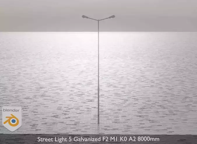 Street Light 5 Galvanized F2 M1 K0 A2 8000mm