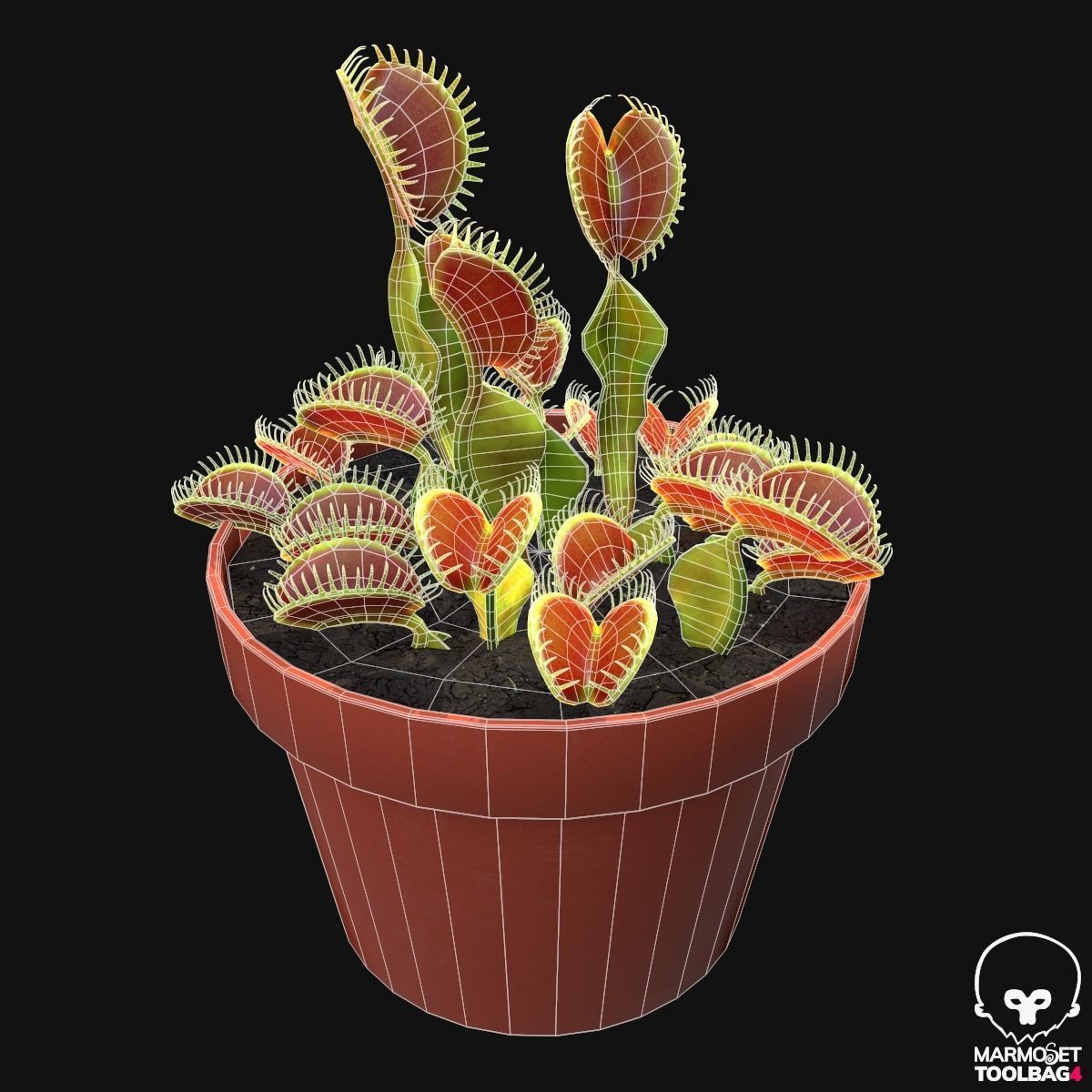 Venus Trap Lowpoly Pbr Low-poly 3D model_4