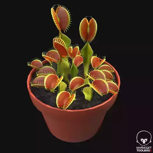 Venus Trap Lowpoly Pbr