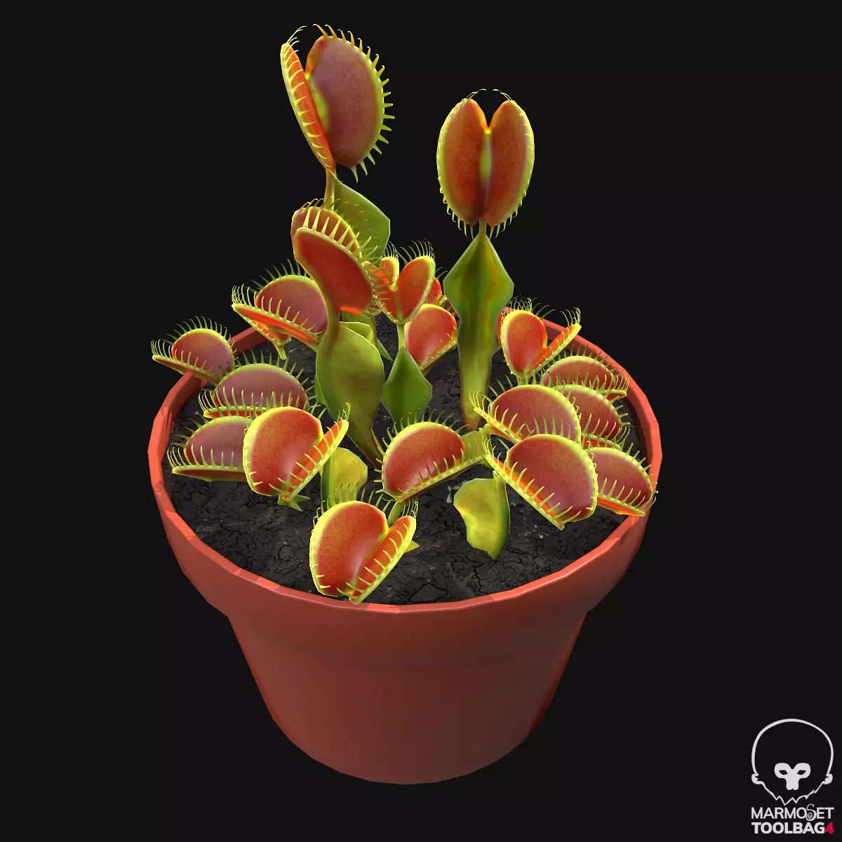 Venus Trap Lowpoly Pbr Low-poly 3D model_0