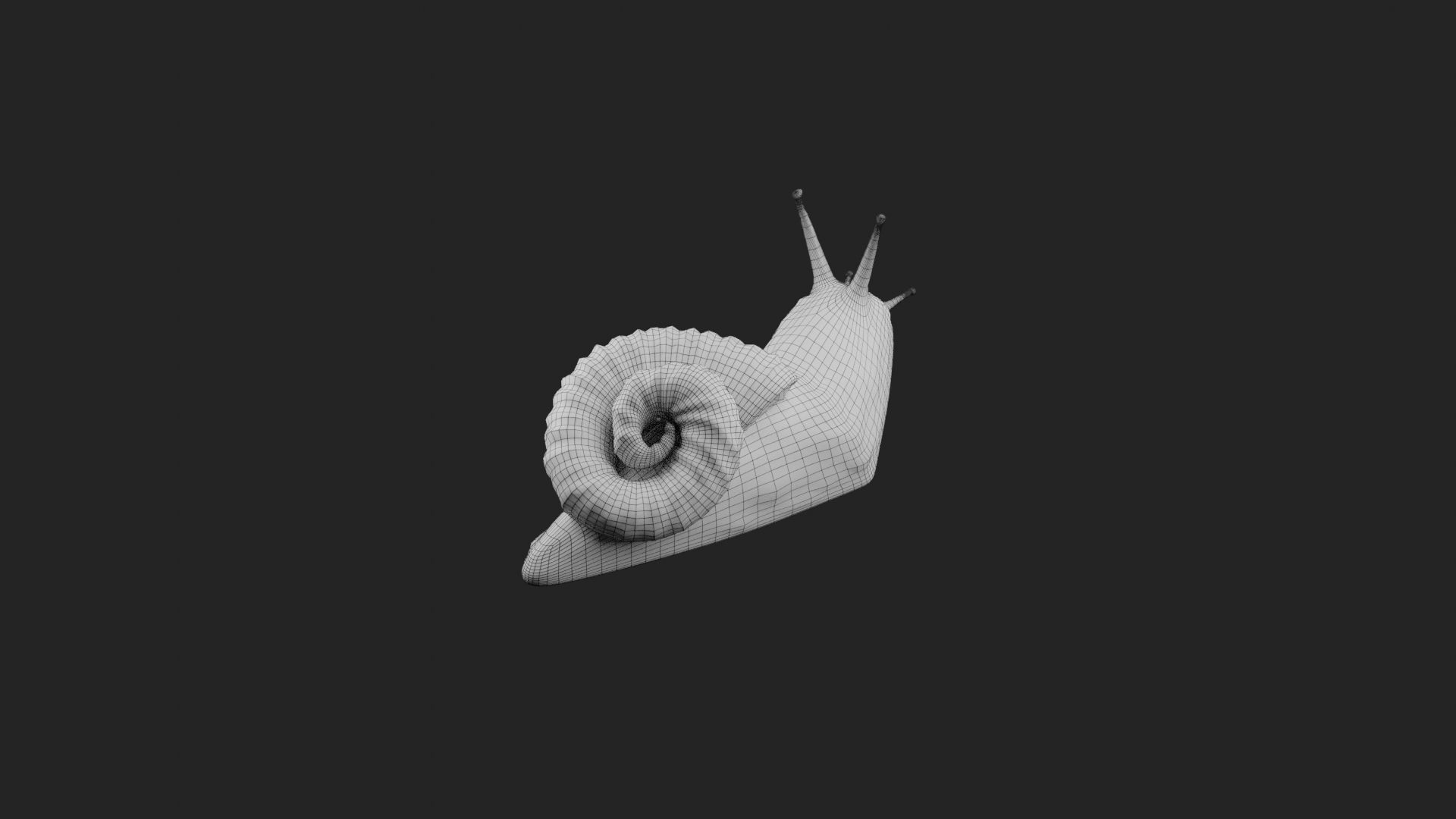 Snail Sculpt 3D print model_5