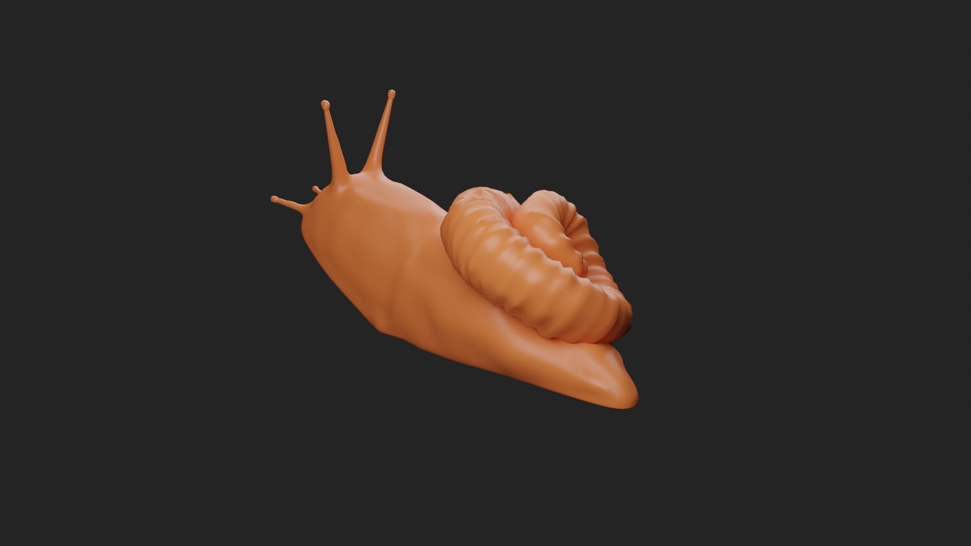 Snail Sculpt 3D print model_3