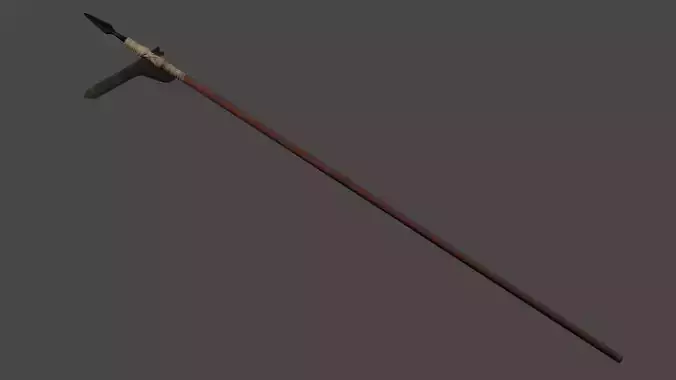 Giao thoi ky Dong Son spear 2