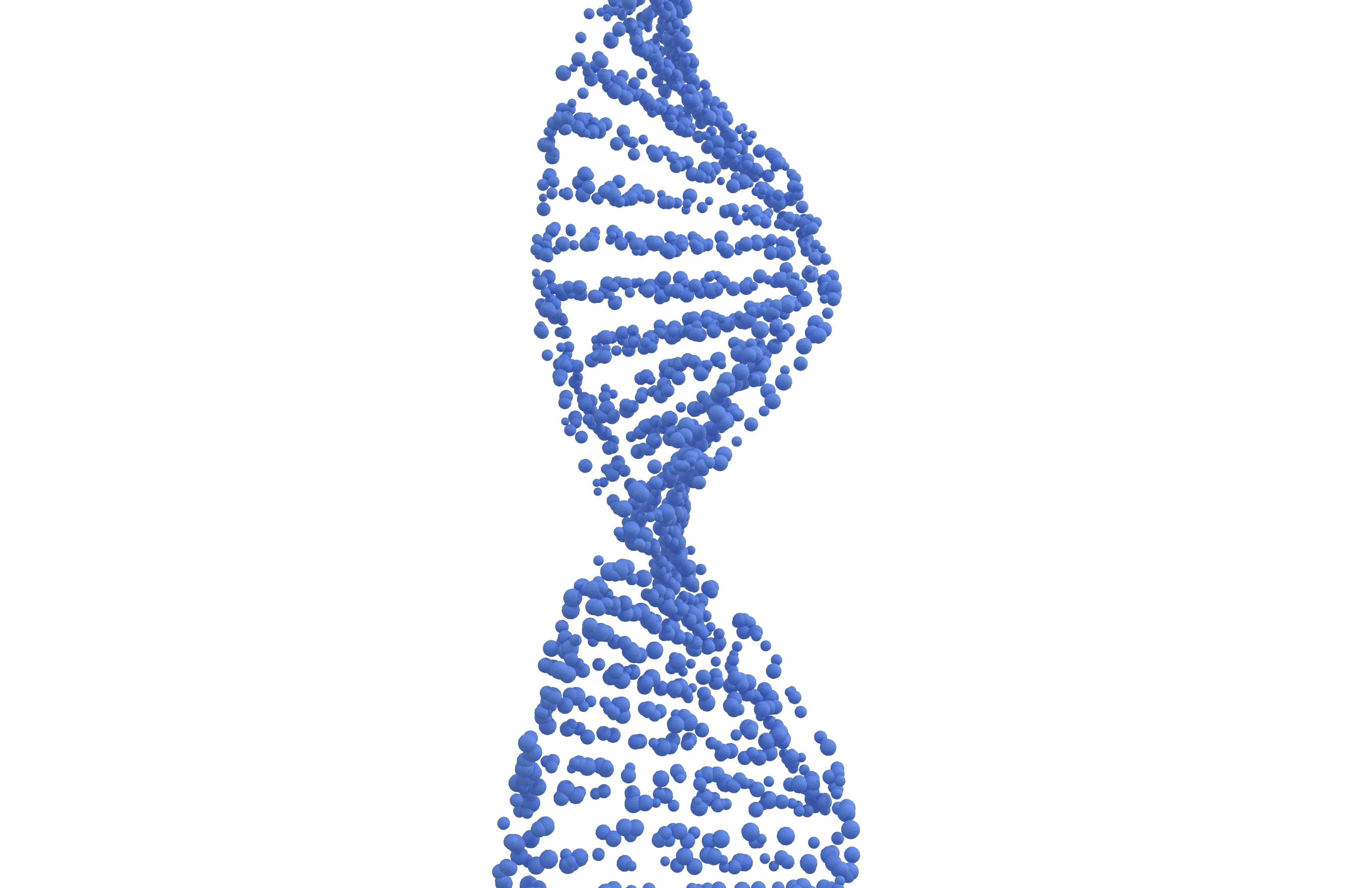 DNA Molecule v4 001 3D model_2
