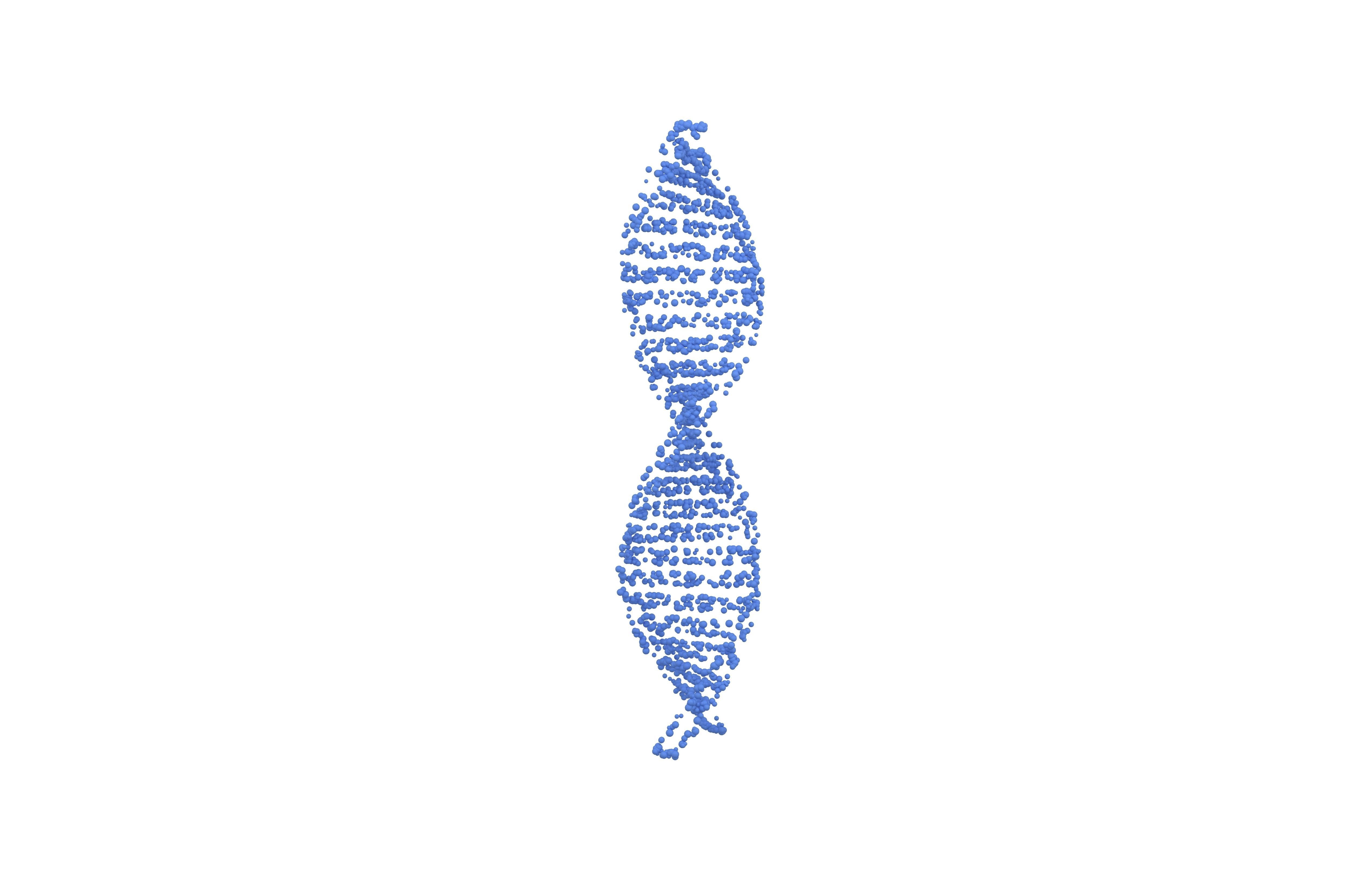 DNA Molecule v4 001 3D model_1