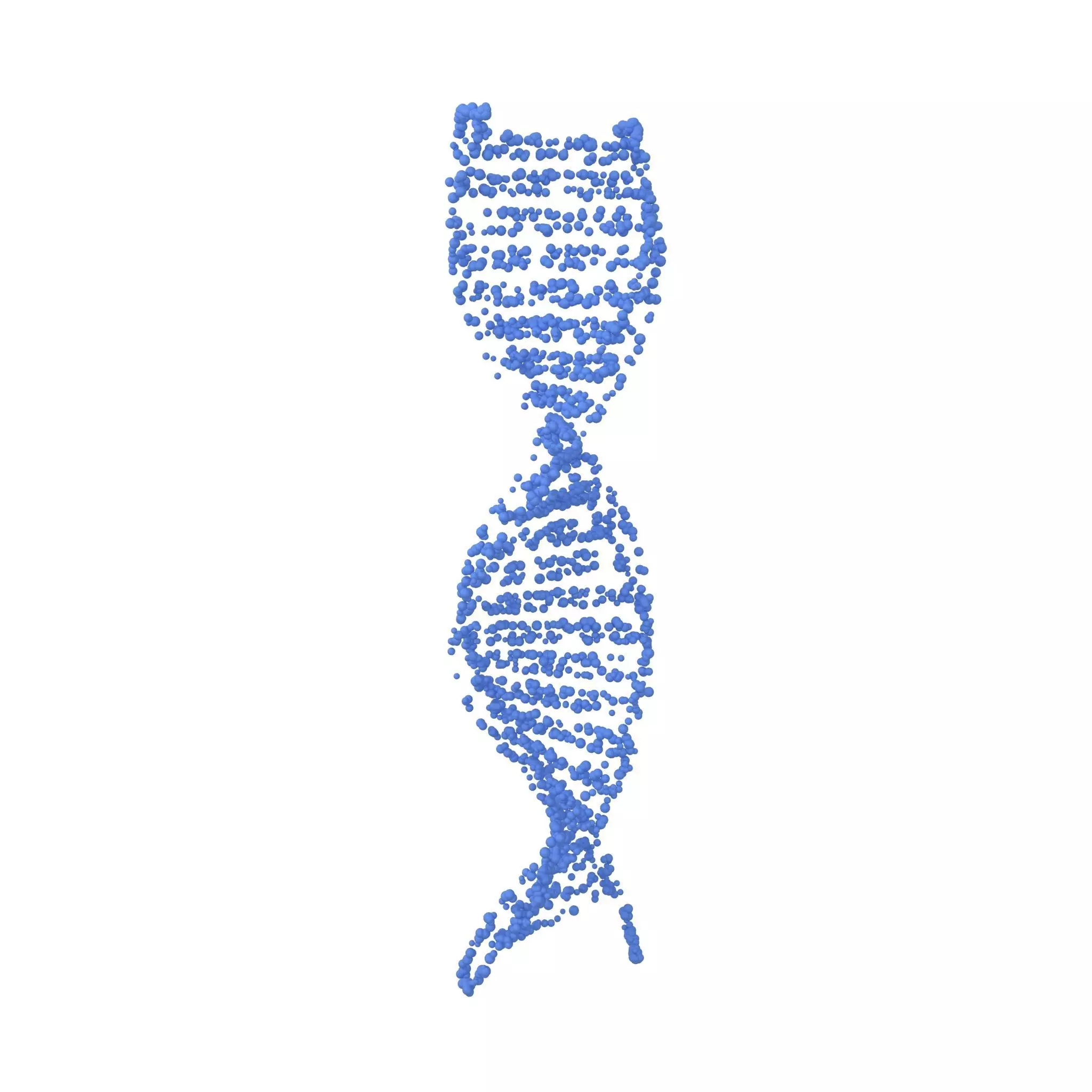DNA Molecule v4 001 3D model_0