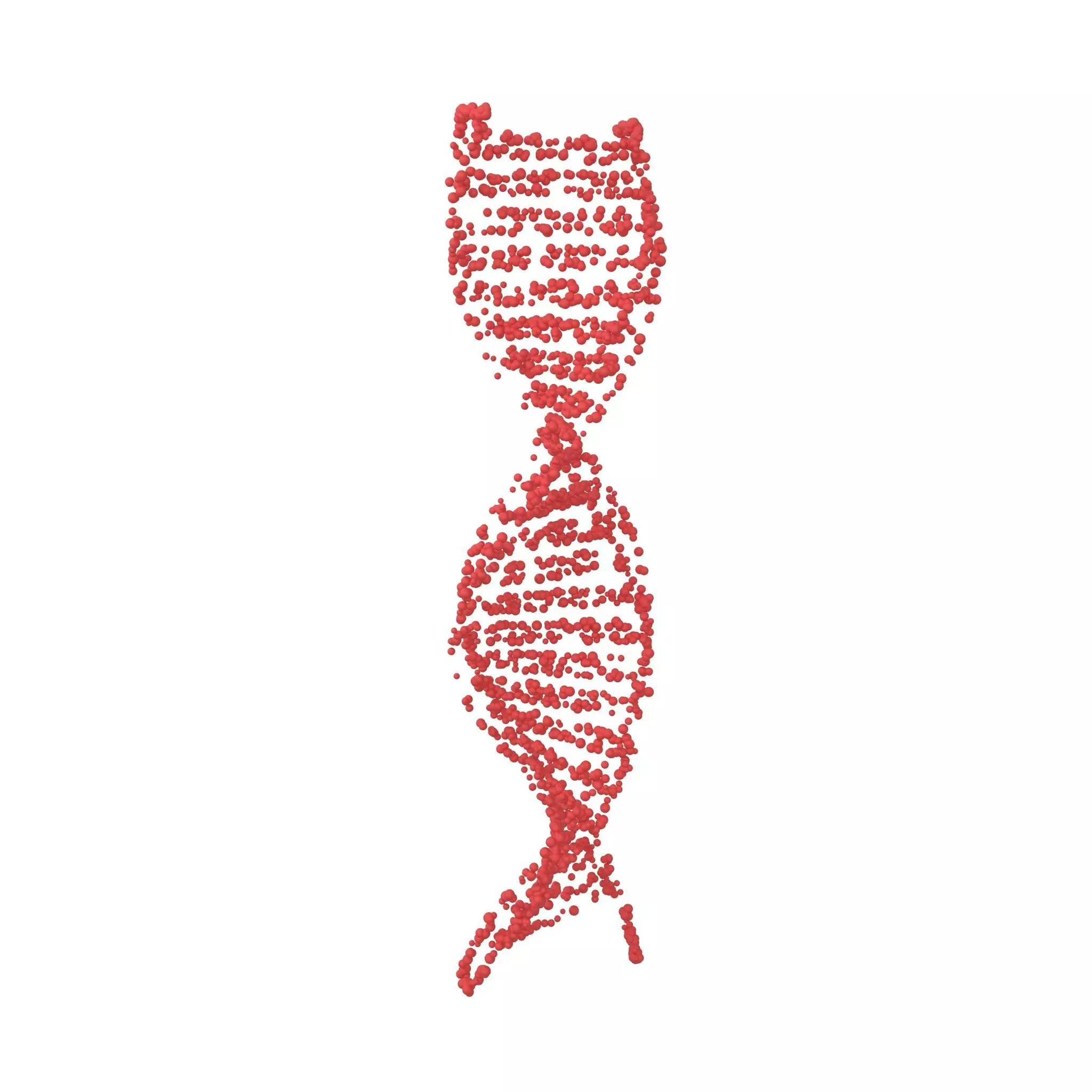 DNA Molecule v4 002 3D model_0