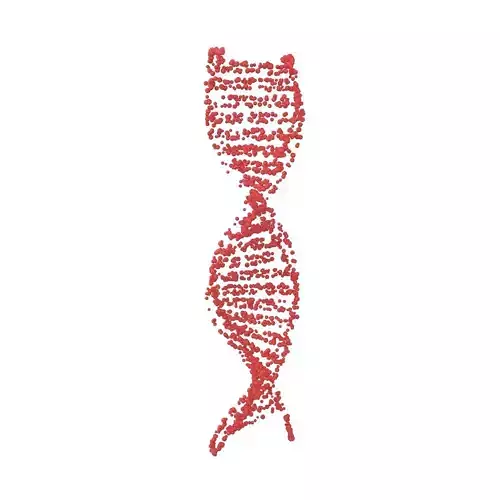 DNA Molecule v4 002