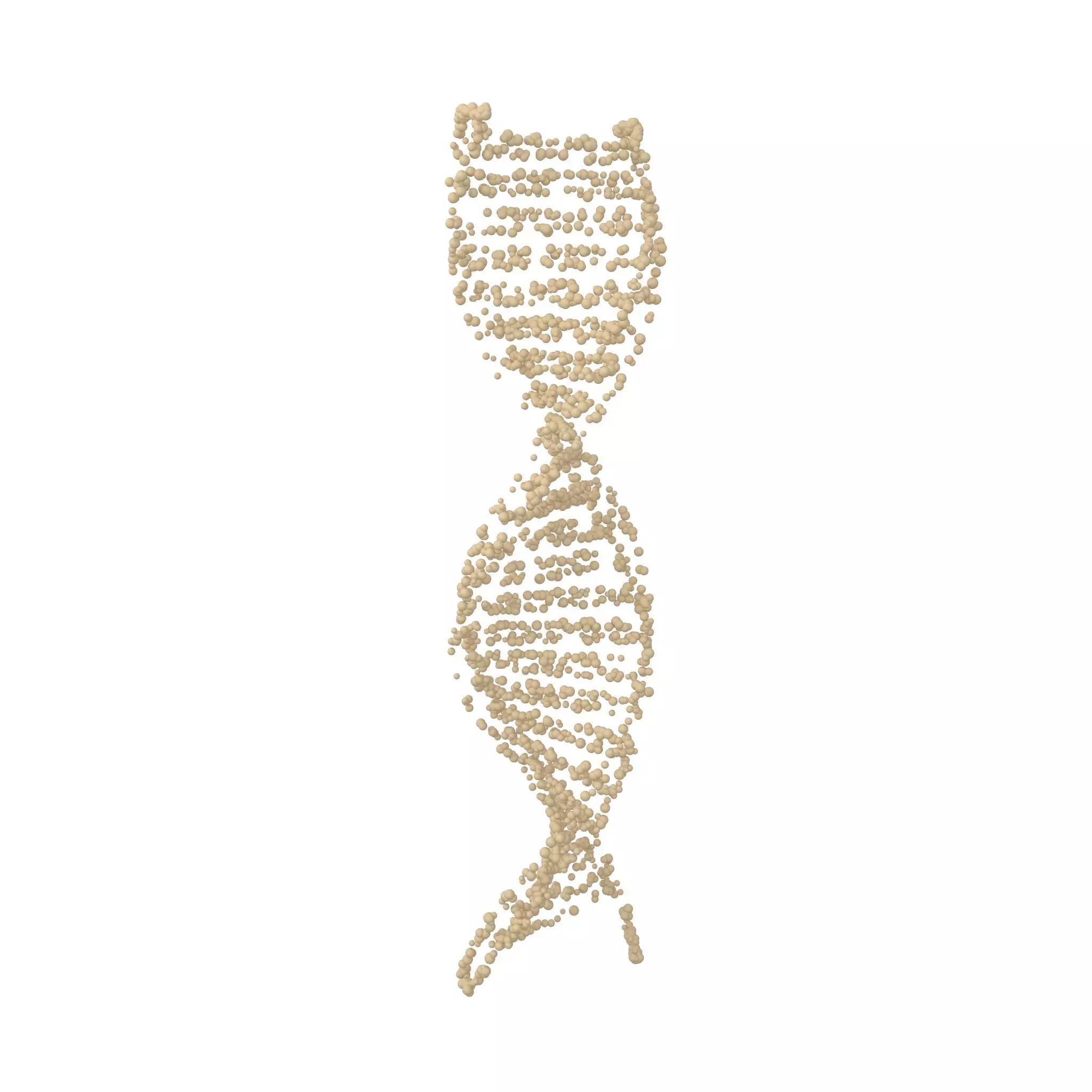 DNA Molecule v4 004 3D model