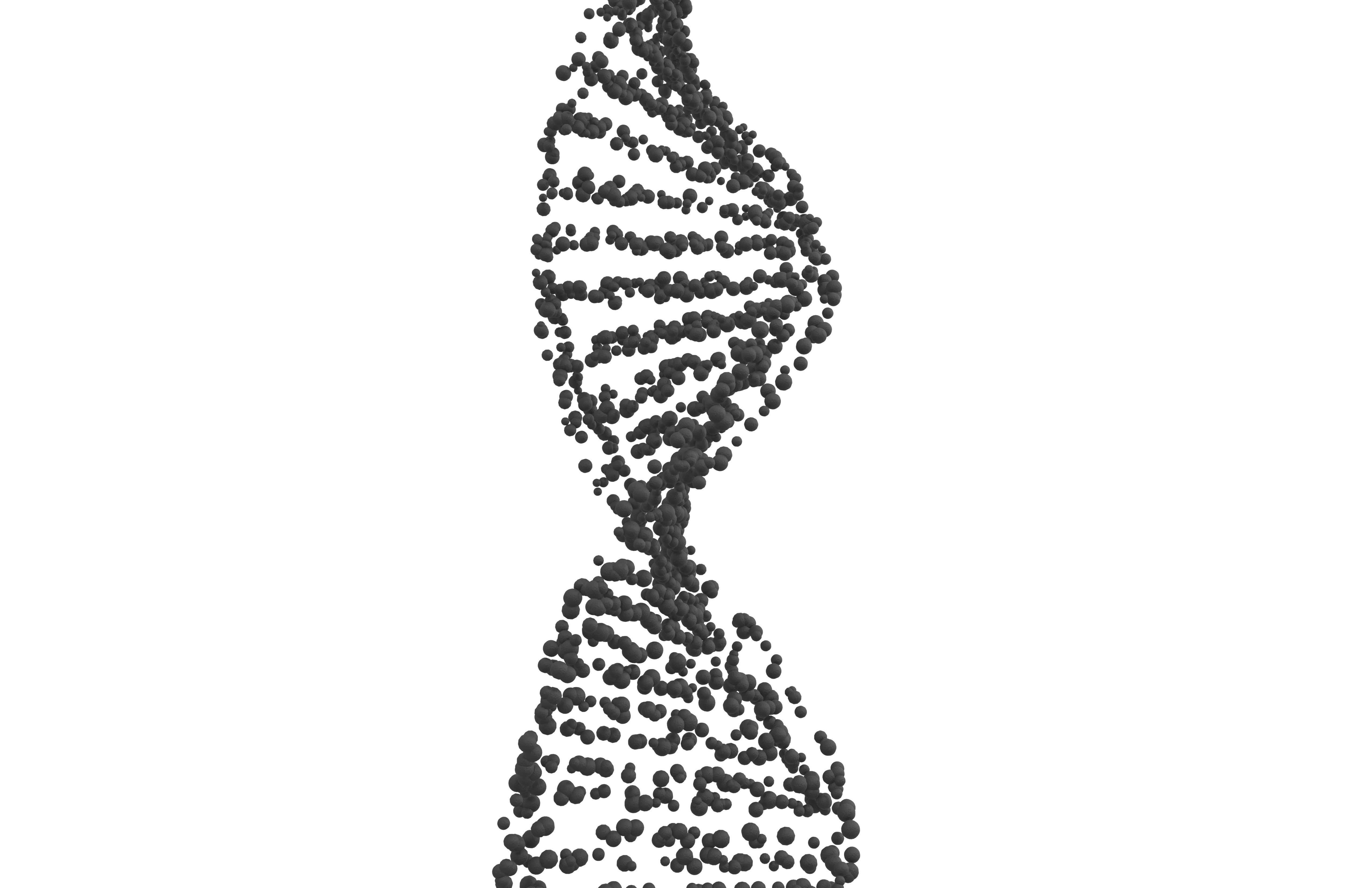 DNA Molecule v4 005 3D model_2