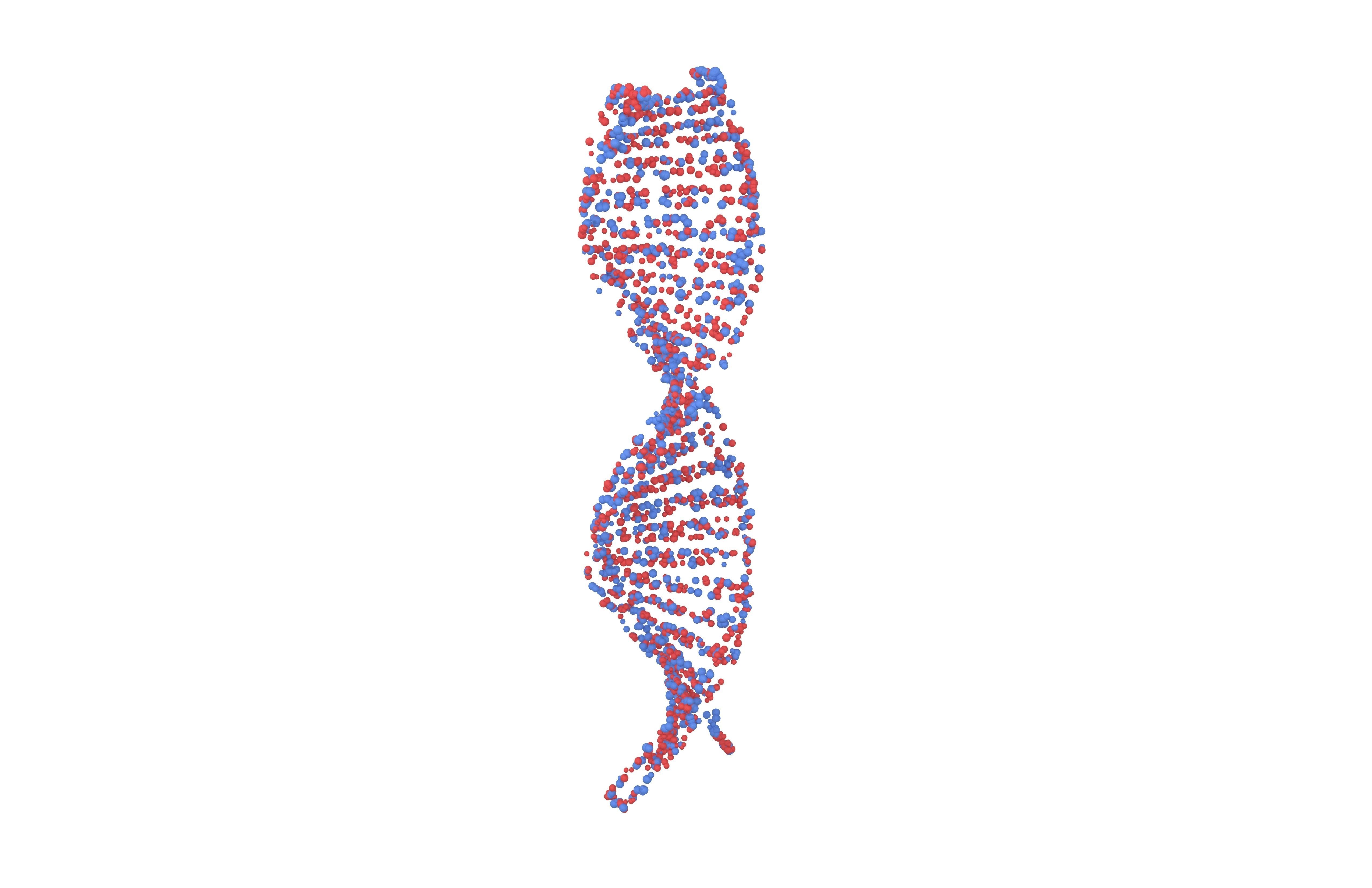 DNA Molecule v4 006 3D model_1