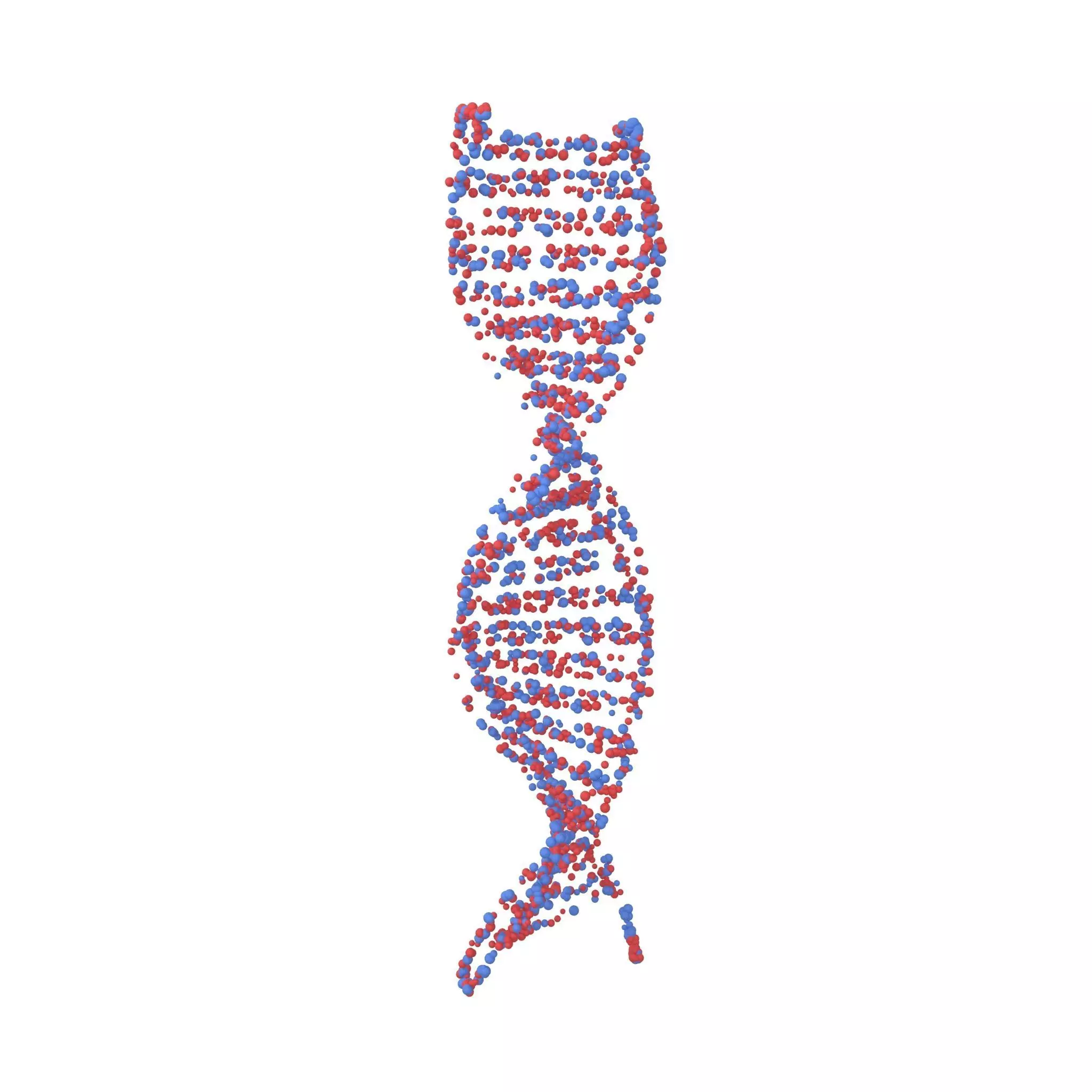 DNA Molecule v4 006 3D model_0