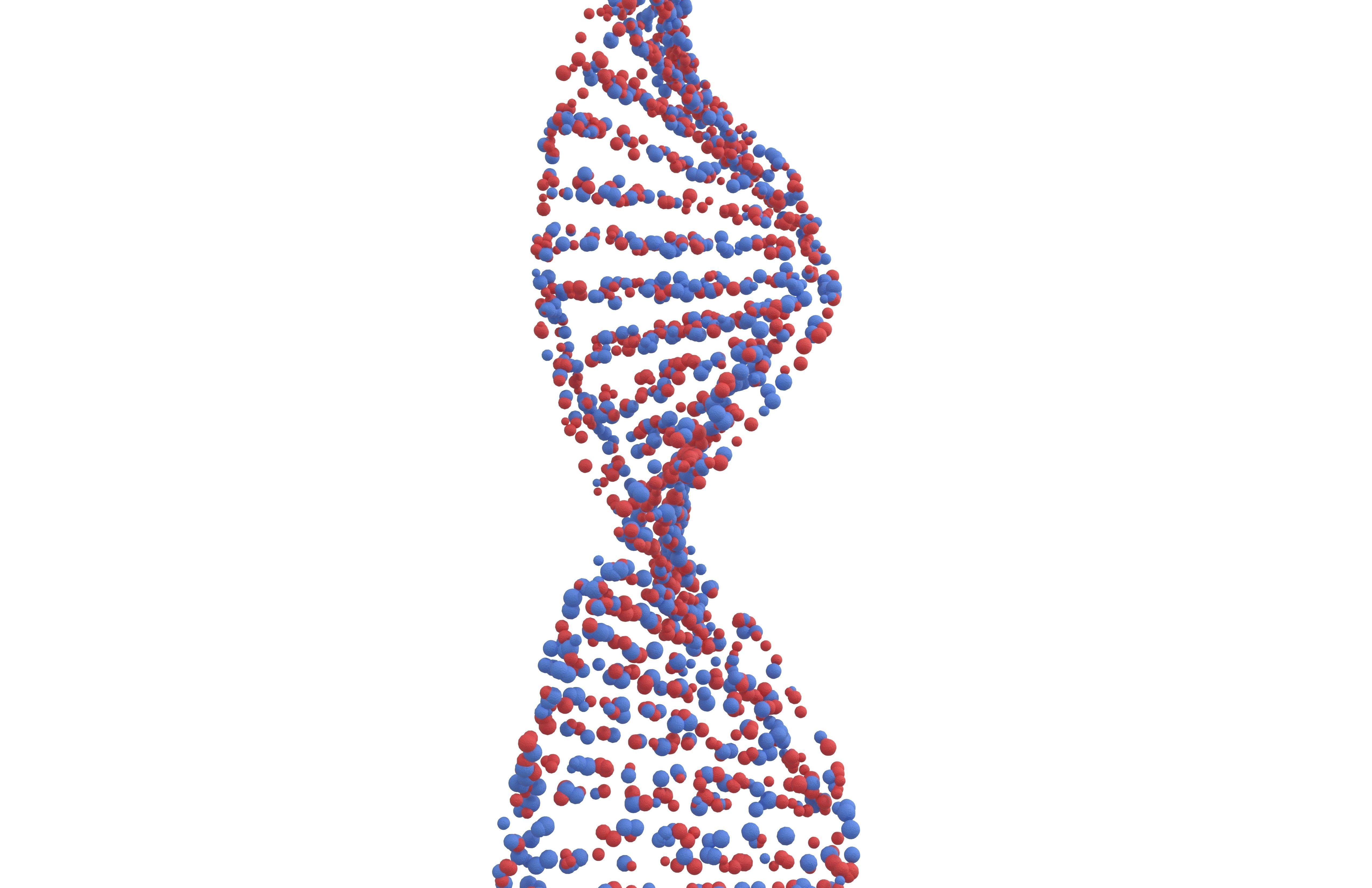 DNA Molecule v4 006 3D model_2