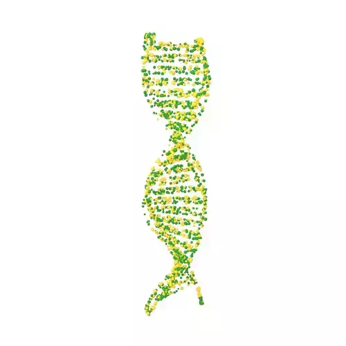 DNA Molecule v4 007