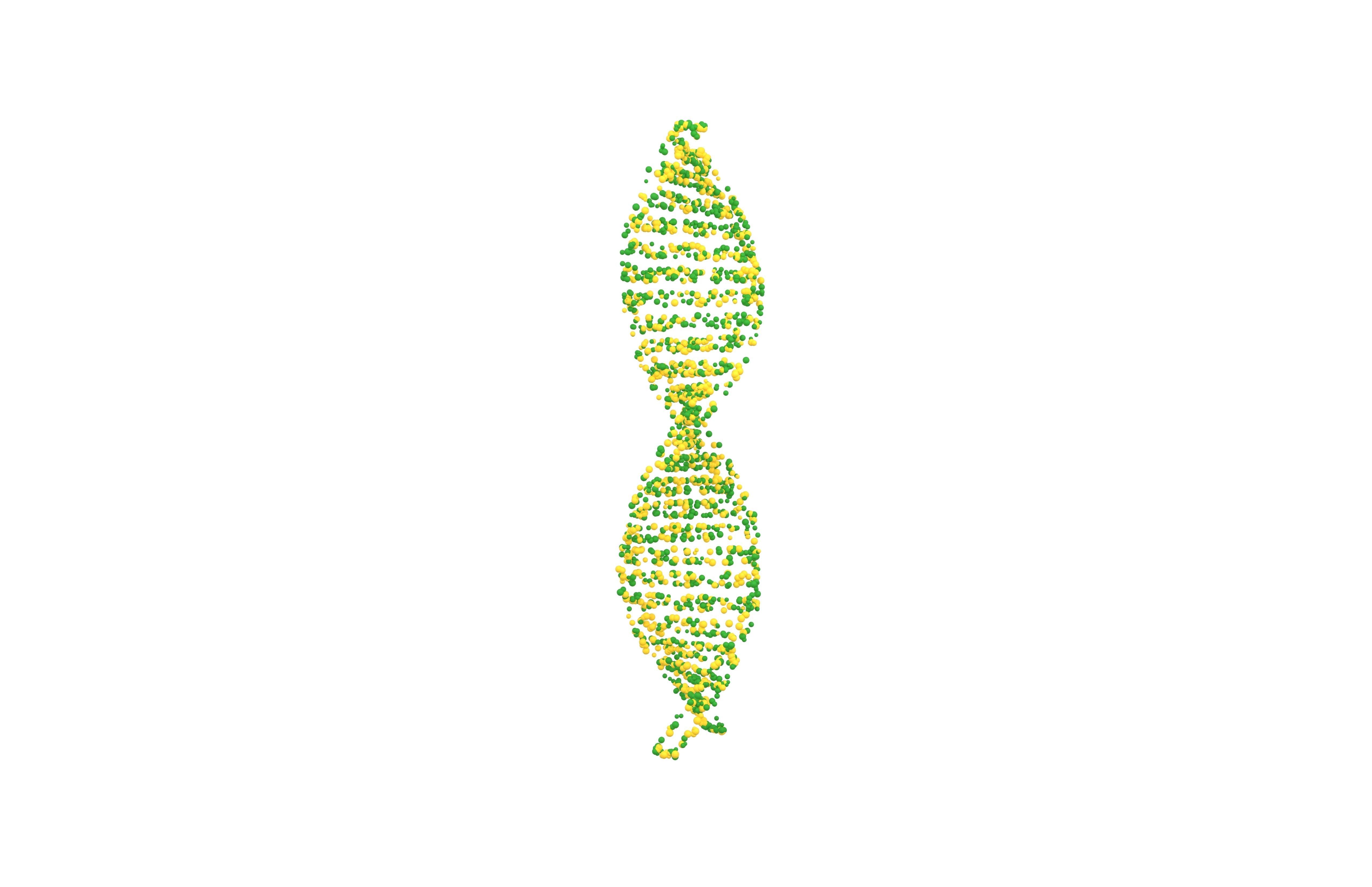 DNA Molecule v4 007 3D model_1