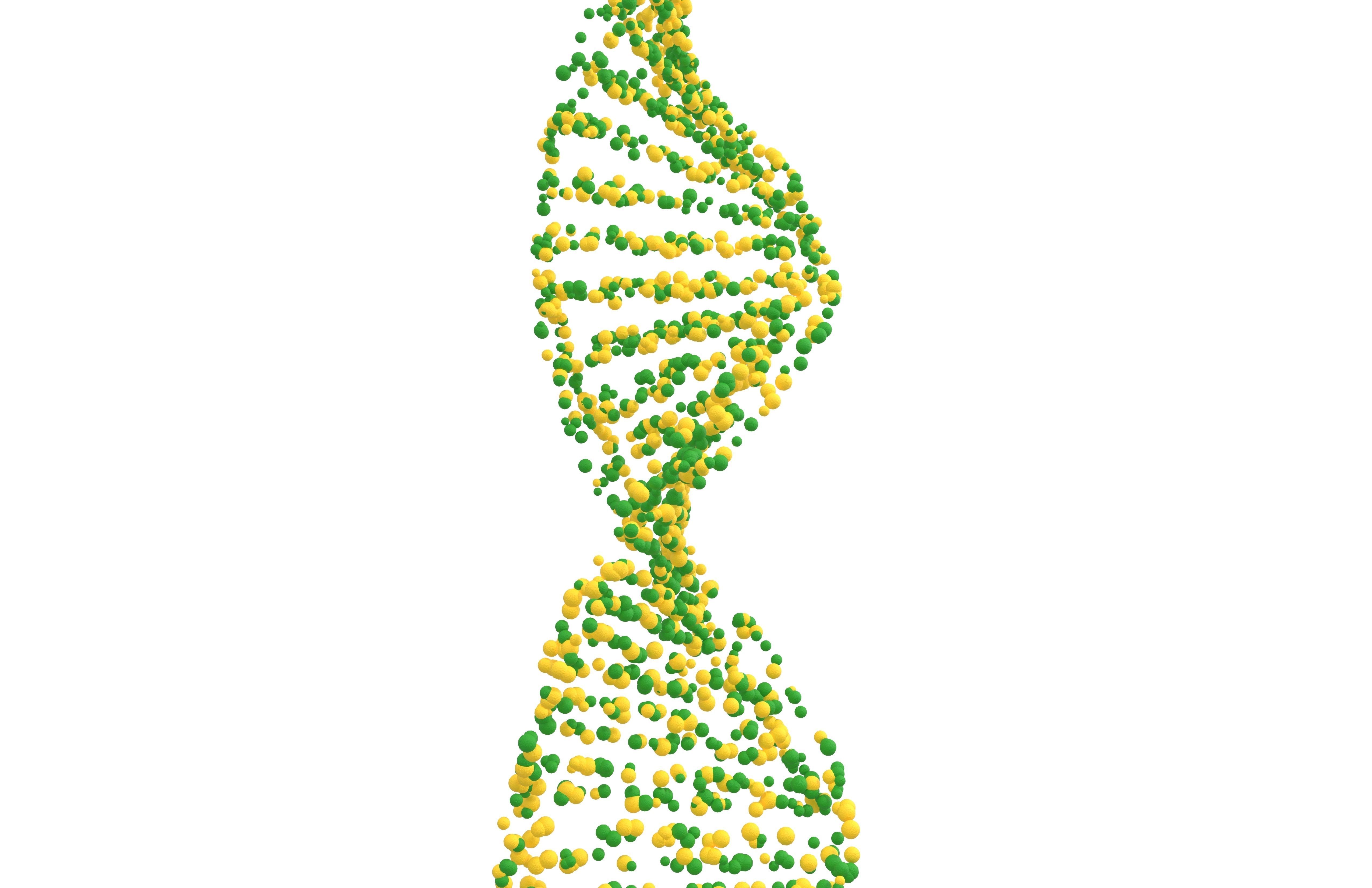 DNA Molecule v4 007 3D model_3