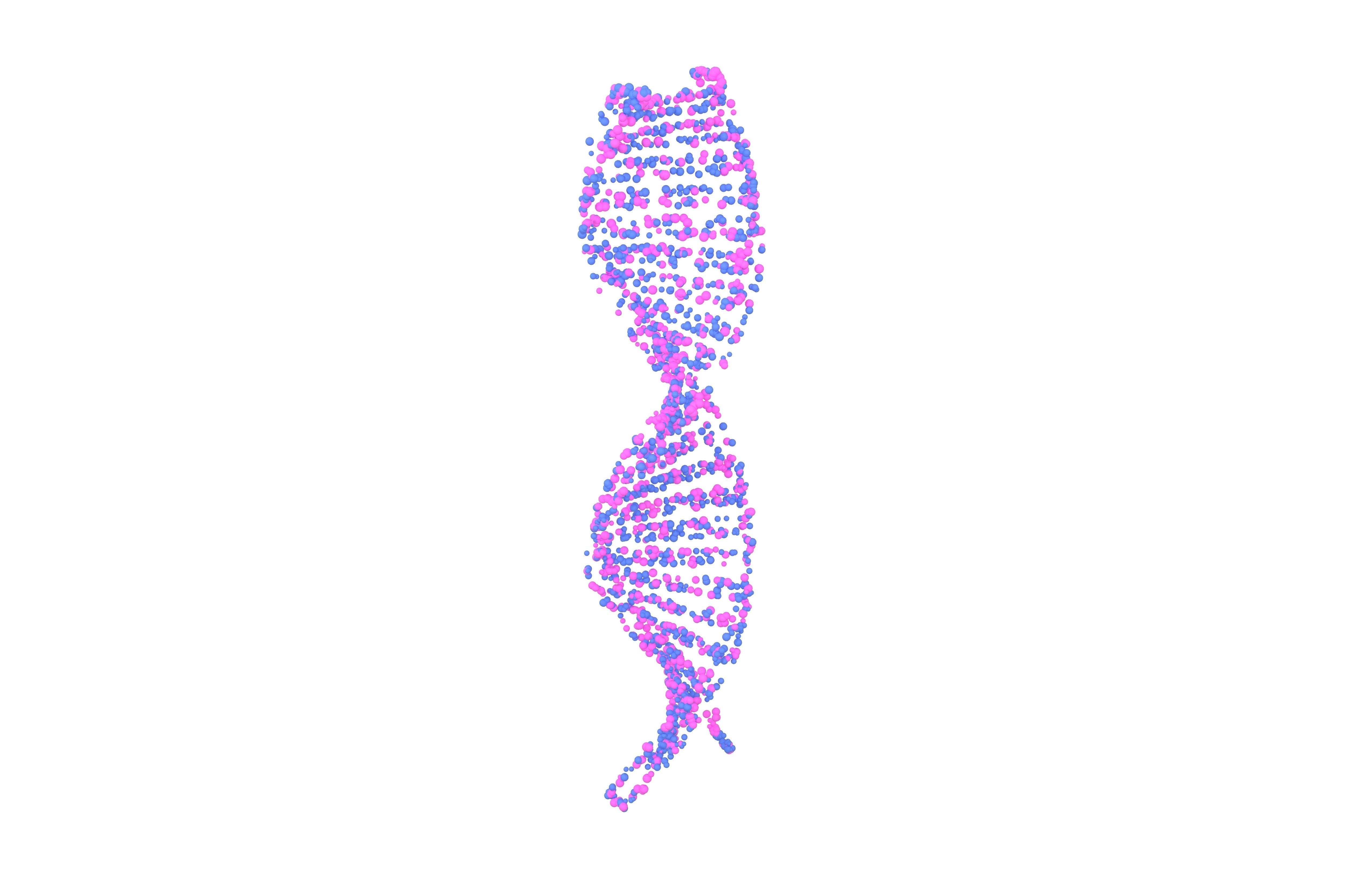 DNA Molecule v4 008 3D model_1
