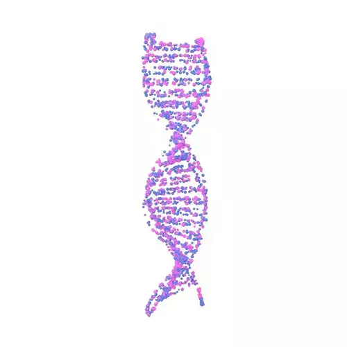 DNA Molecule v4 008 3D model