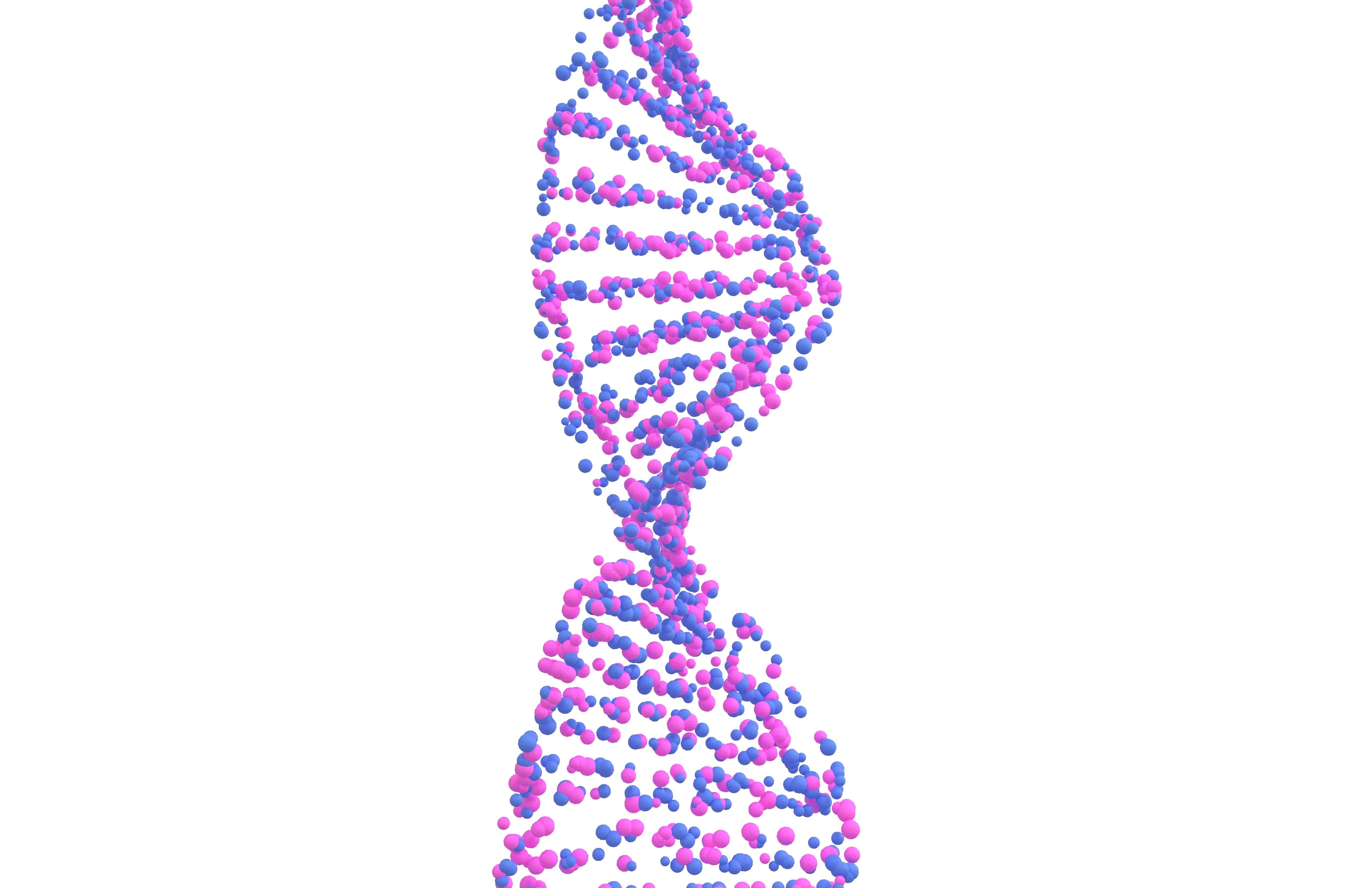 DNA Molecule v4 008 3D model_2