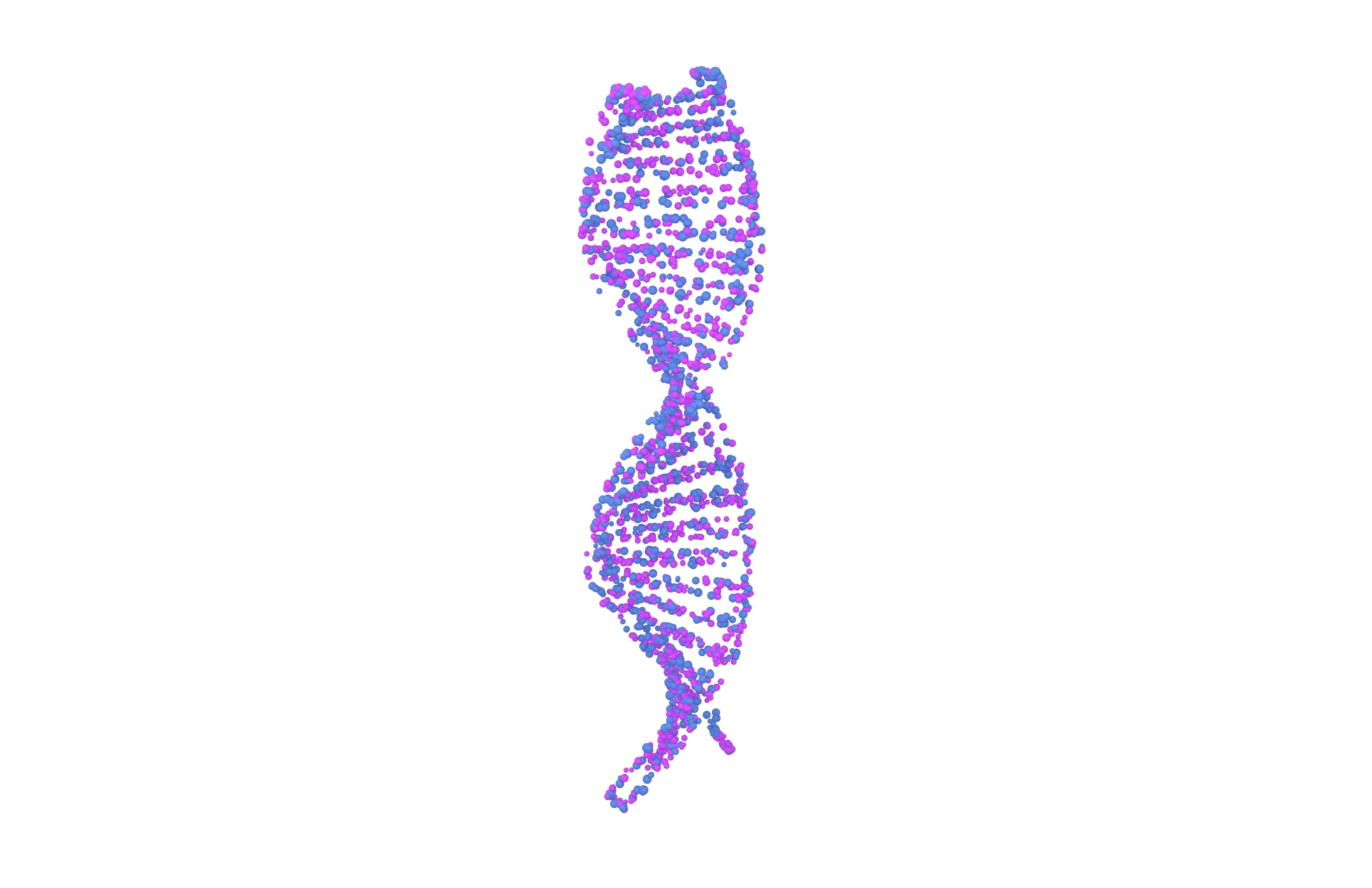 DNA Molecule v4 009 3D model_3