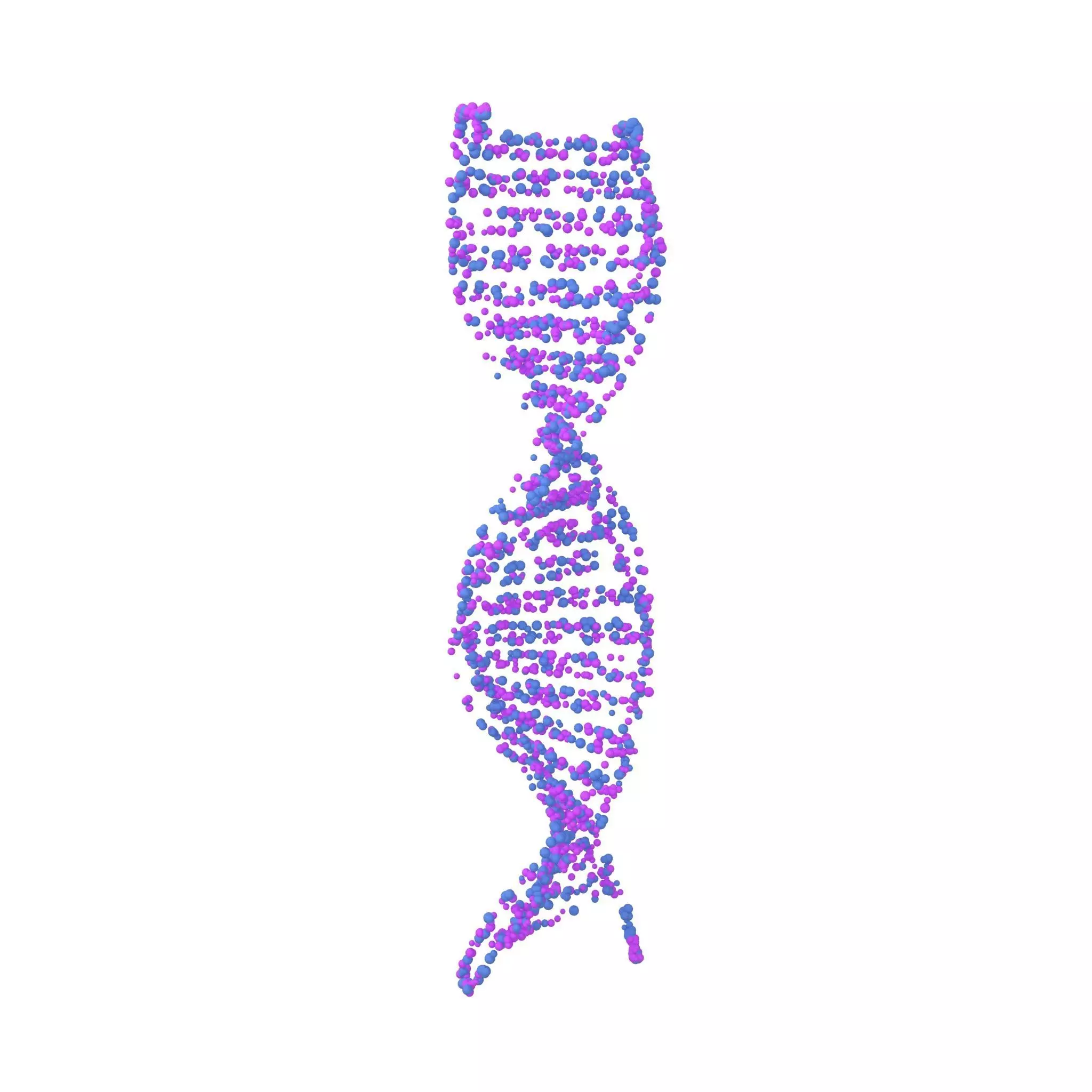 DNA Molecule v4 009 3D model_0