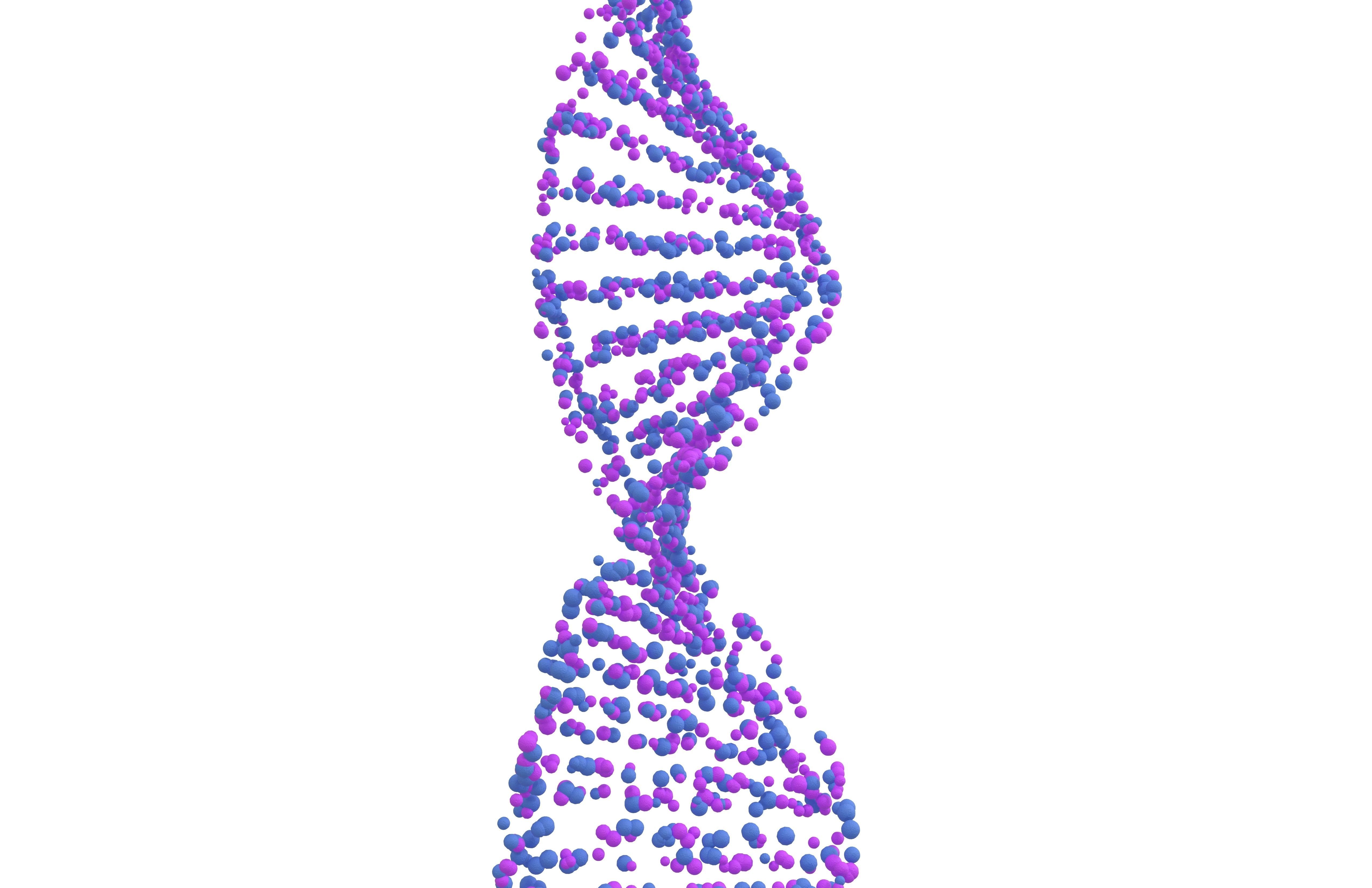 DNA Molecule v4 009 3D model_1