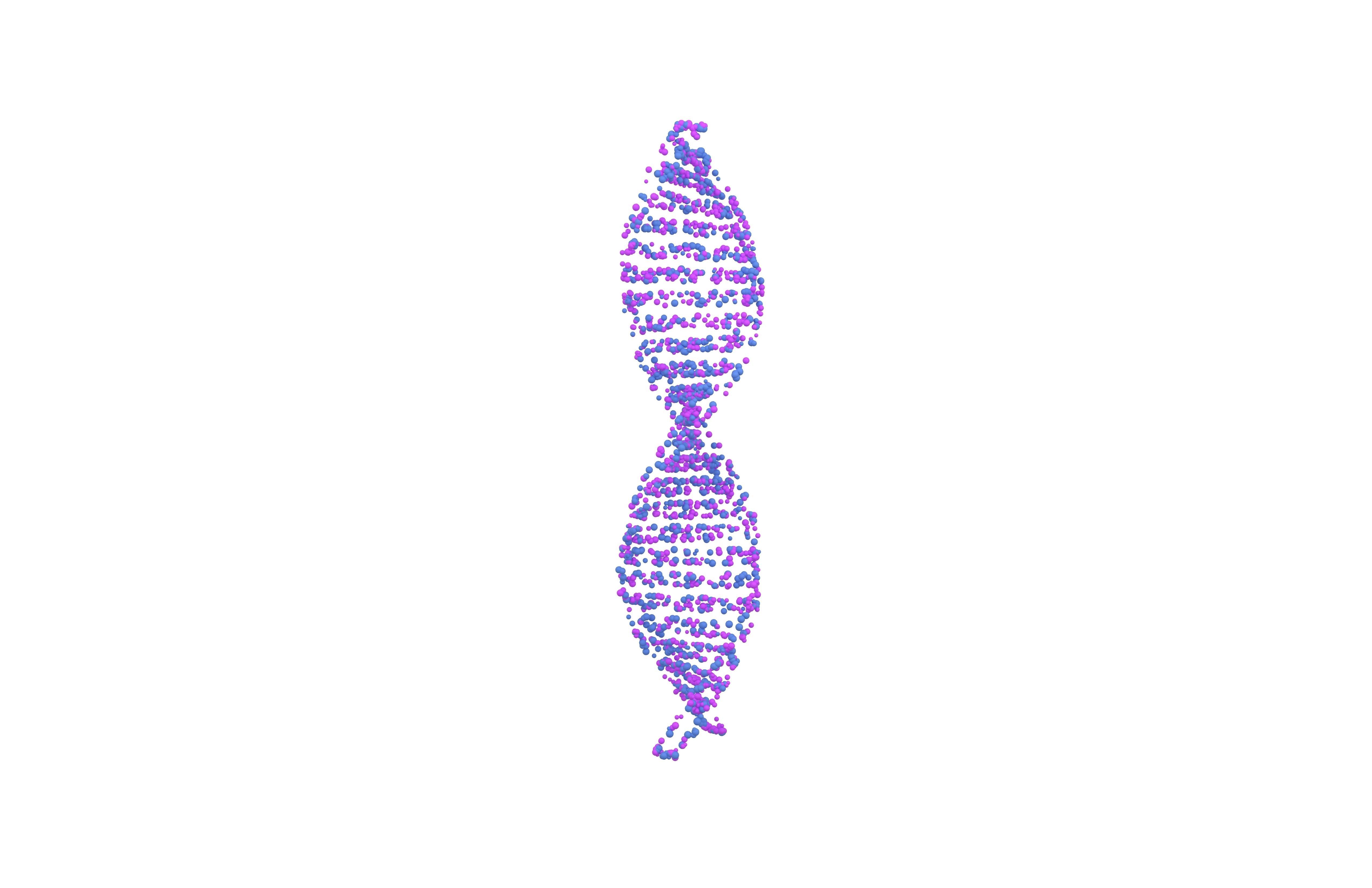 DNA Molecule v4 009 3D model_2