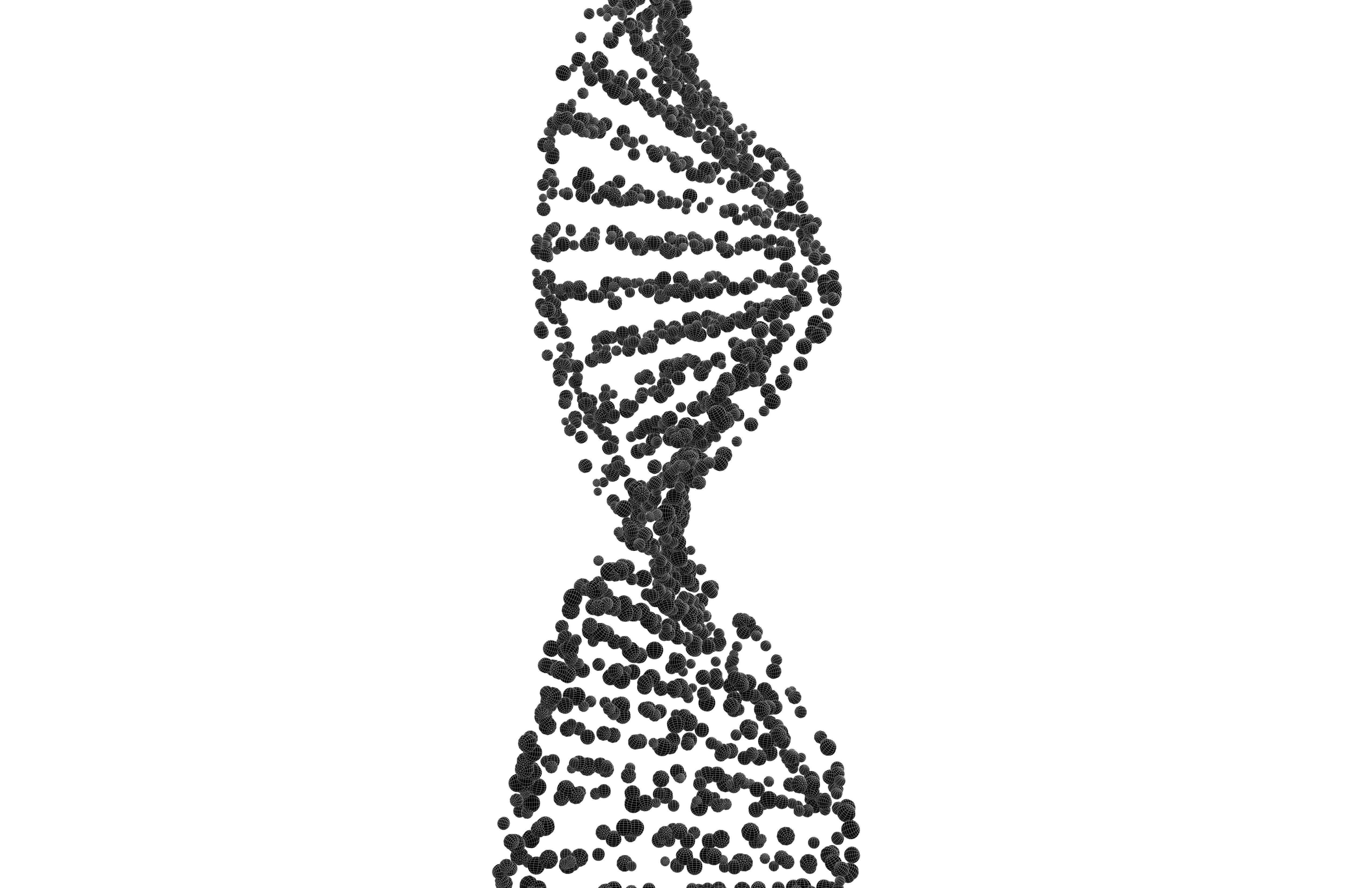 DNA Molecule v4 009 3D model_7