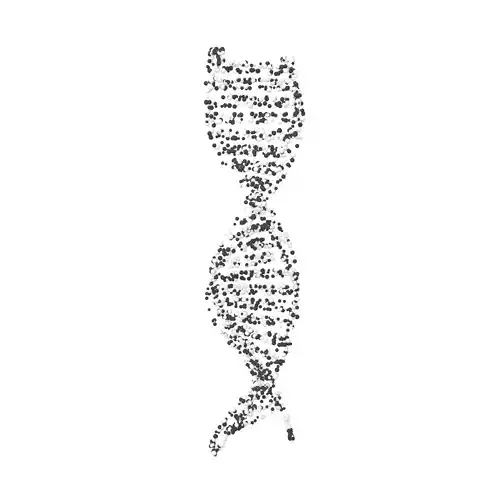 DNA Molecule v4 010 3D model