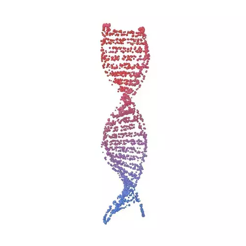 DNA Molecule v4 011 3D model