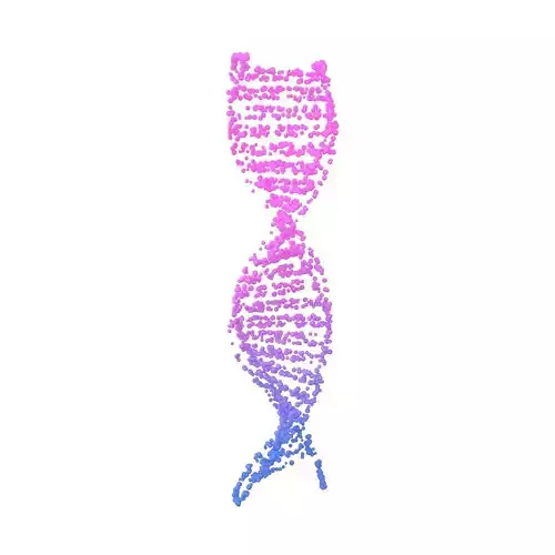 DNA Molecule v4 013 3D model