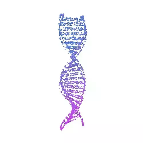 DNA Molecule v4 014 3D model