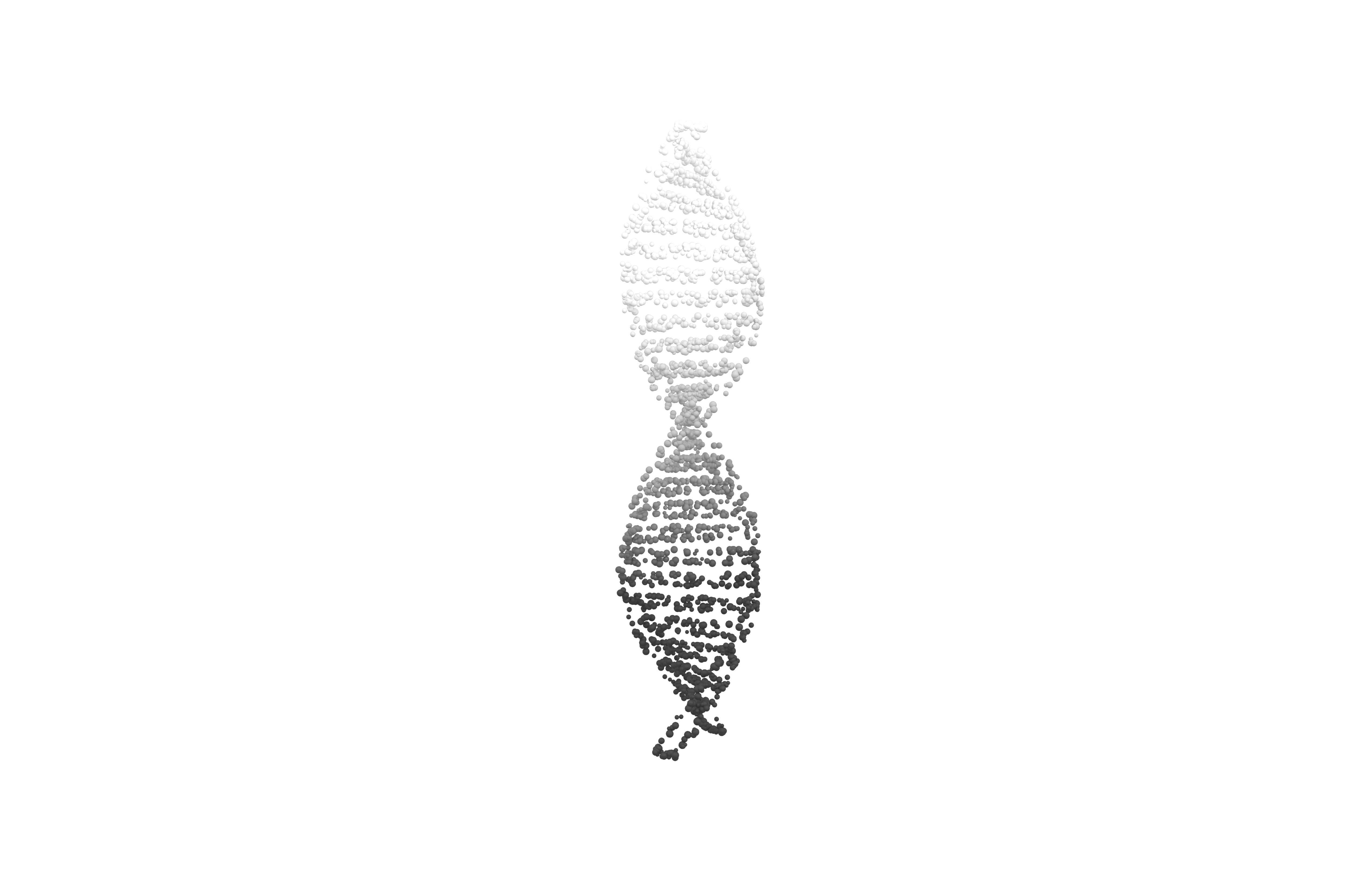 DNA Molecule v4 015 3D model_1