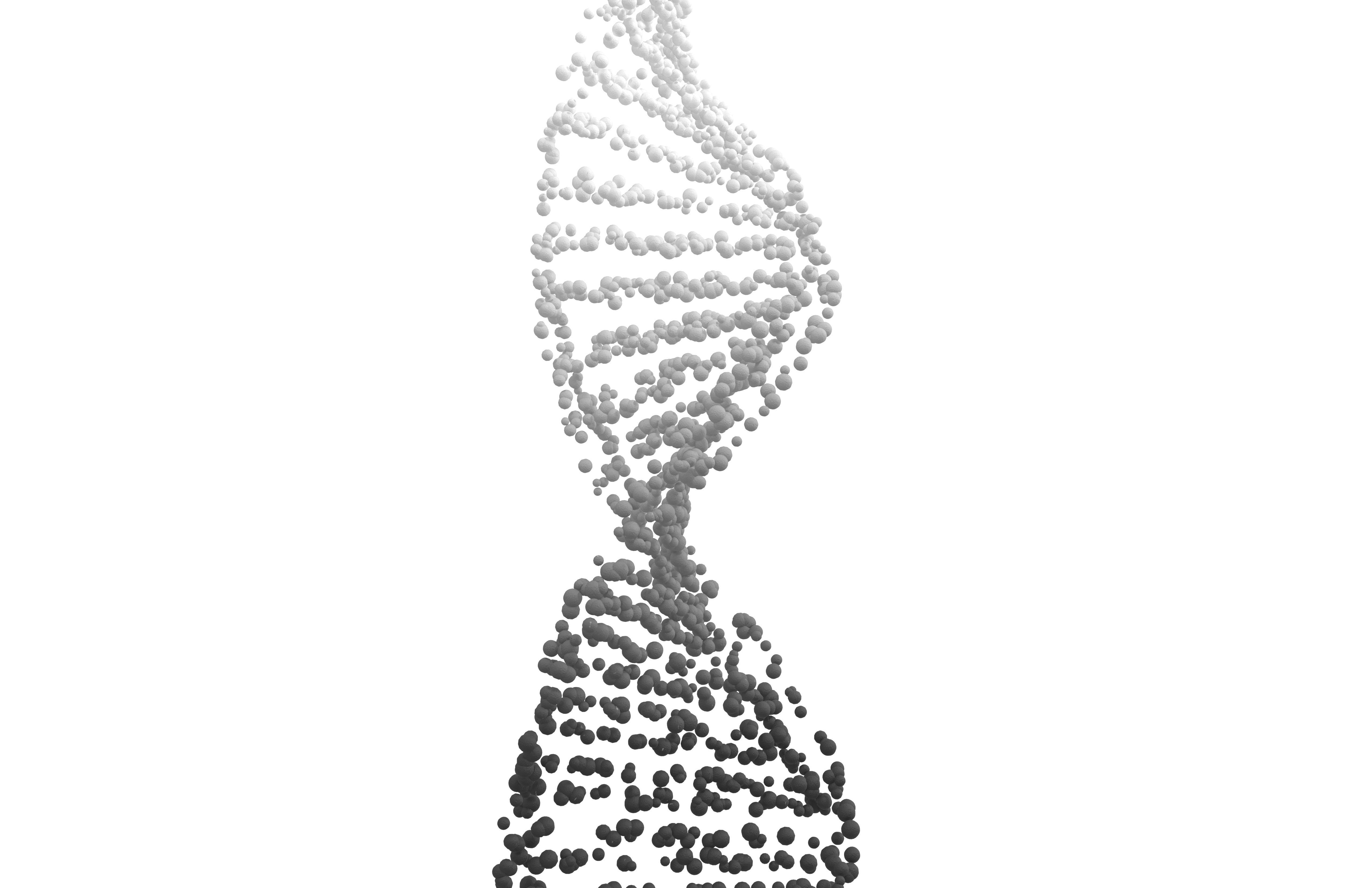 DNA Molecule v4 015 3D model_3