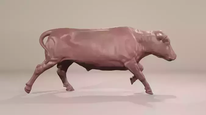 Running Bull realistic cattle for printing livestock Hereford 3D print model