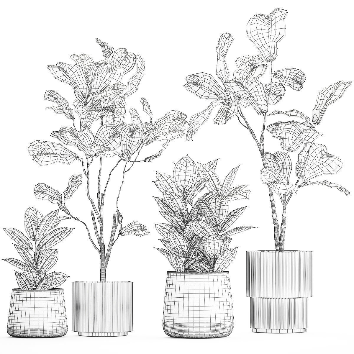 Ficus elastica and Ficus lyrata trees in flower pots 1244 3D model_11