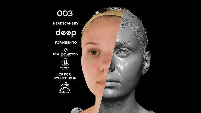 European Female 20s head scan 003 3D model