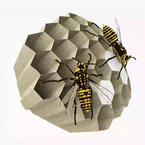 wasp nest 3D model