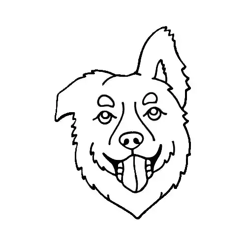 Australian Shepherd Face Cookie CUtt